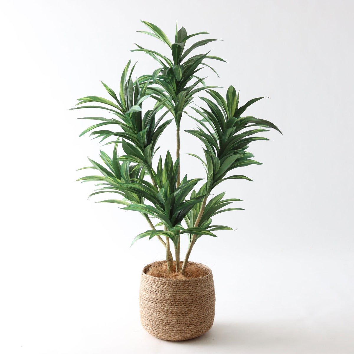 ③ シーグラス 小（SK7）｜標準セット