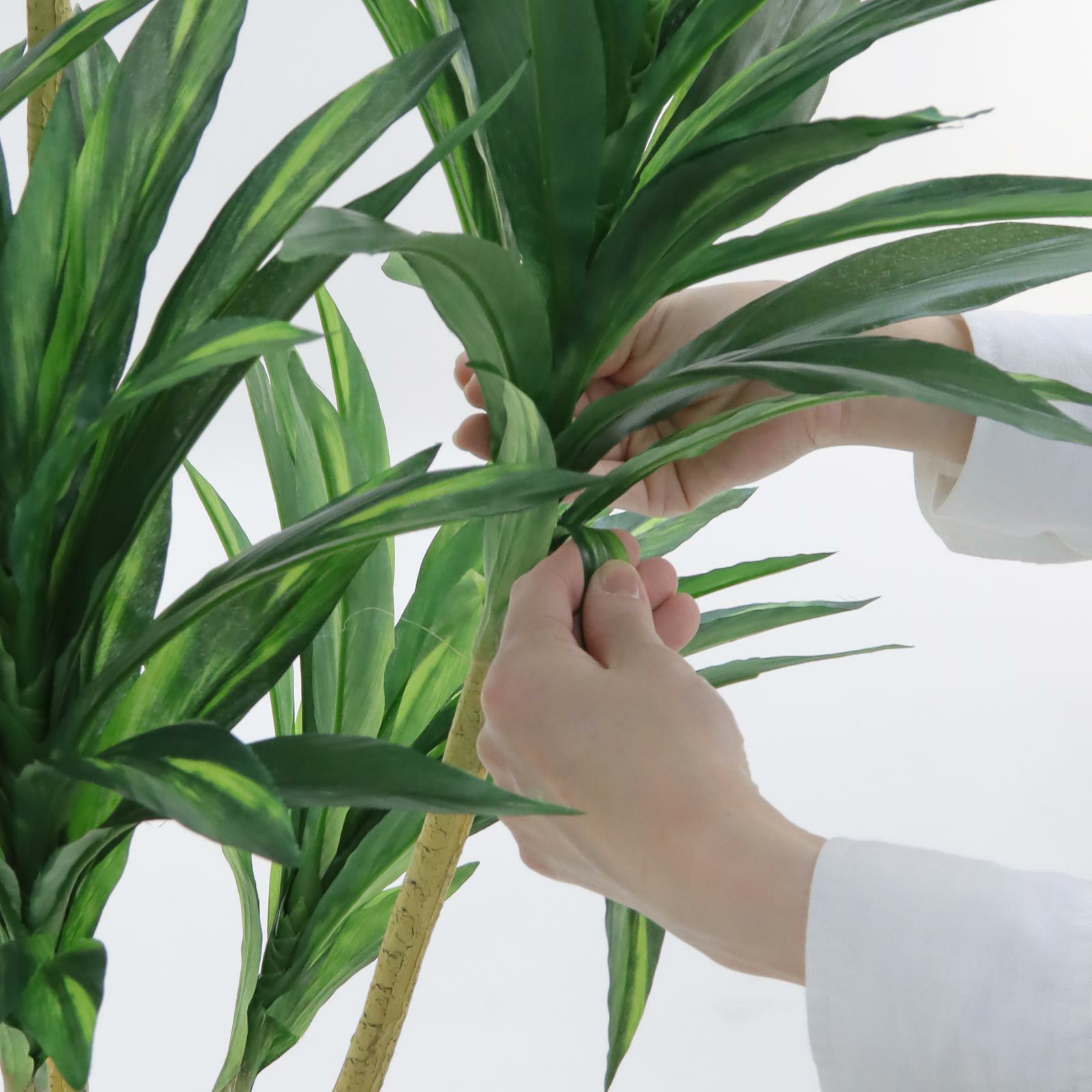 光触媒 人工観葉植物 ウォールグリーン フェイクグリーン ドラセナ