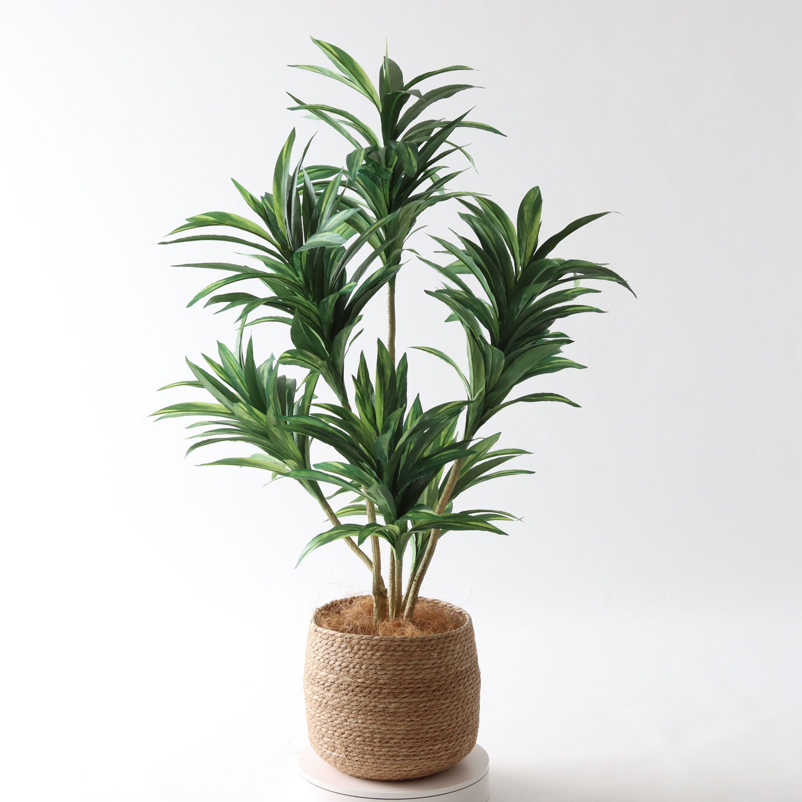 360度回転イメージ