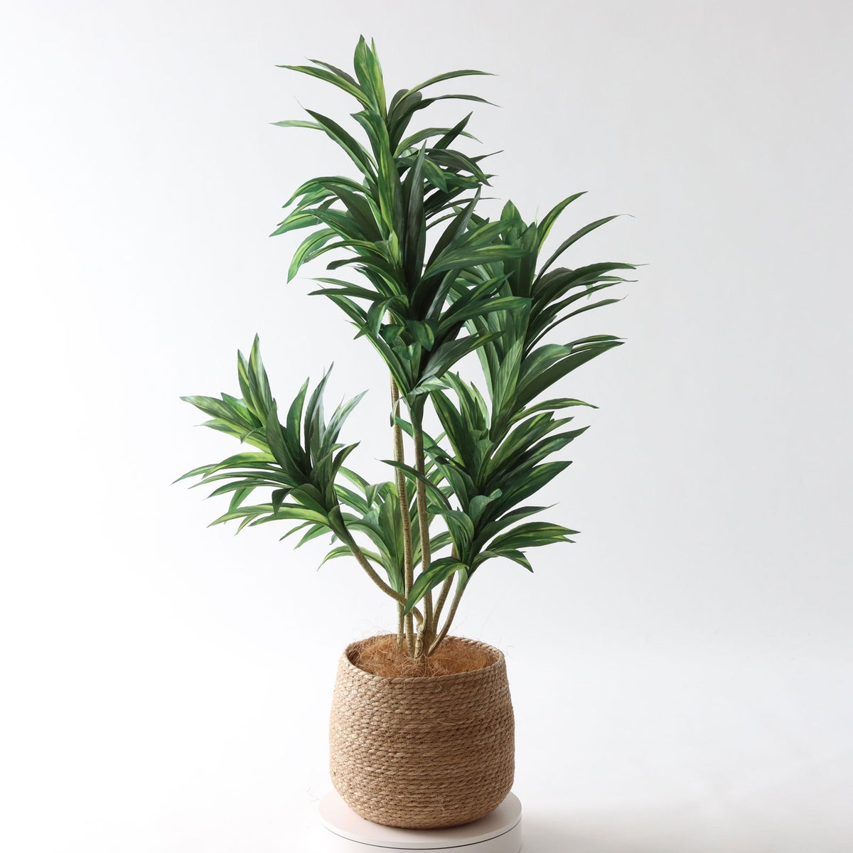 ⑭ プラ鉢（標準）