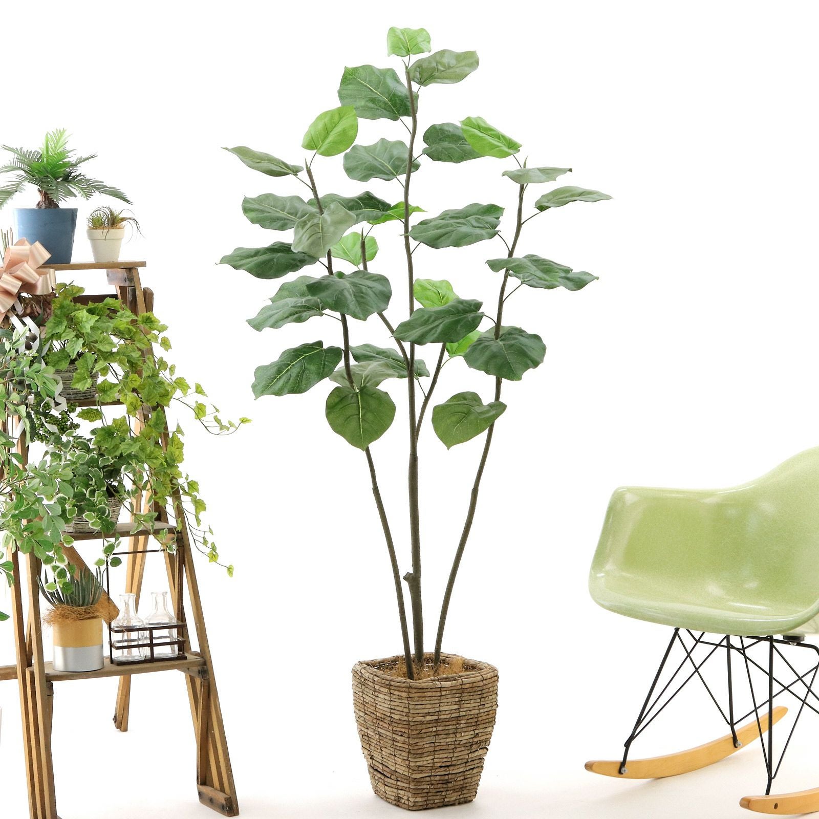 No8271 プレミアム光触媒フェイクグリーン 「爽やかな斑入り葉