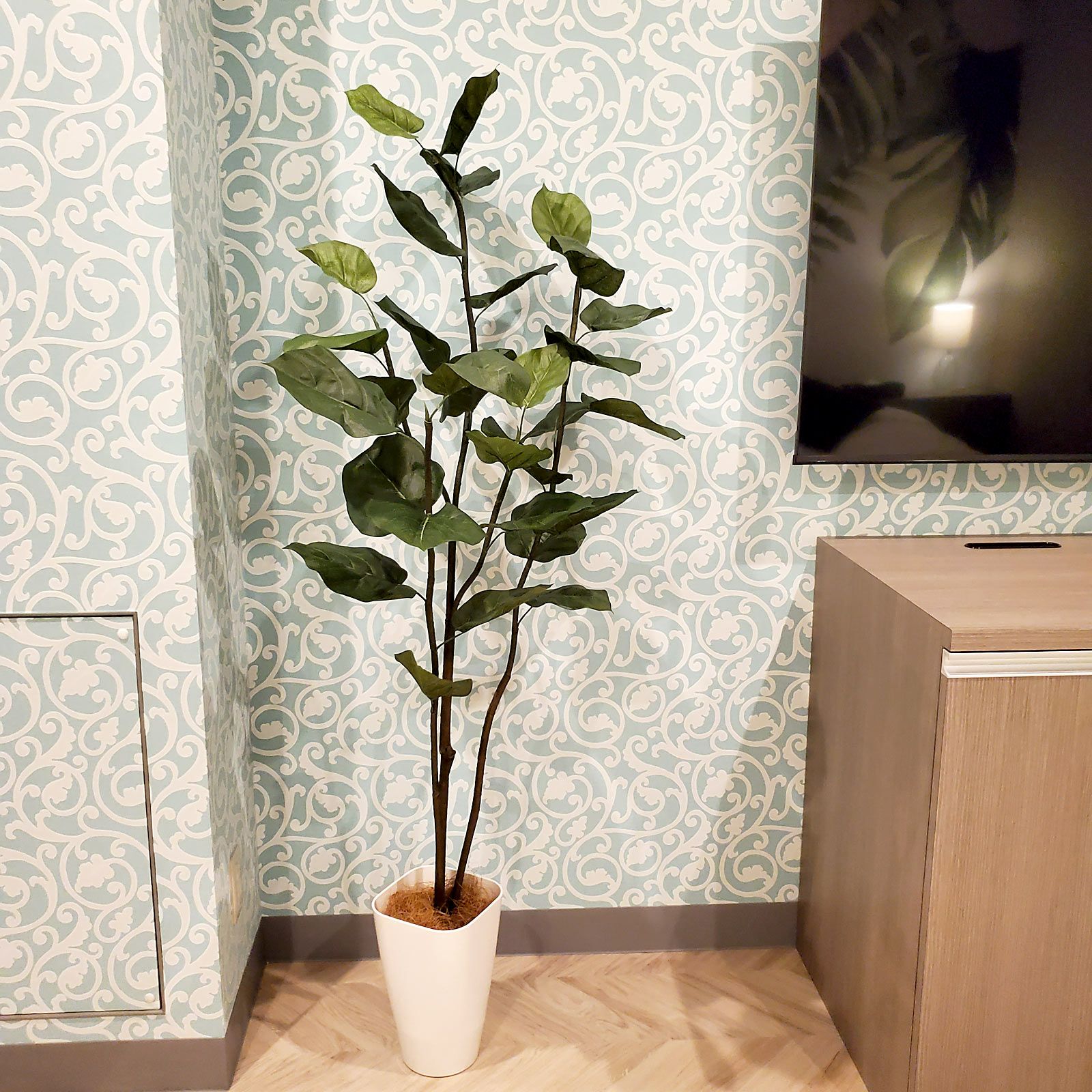 柄入り壁紙とテレビボード横のグリーン