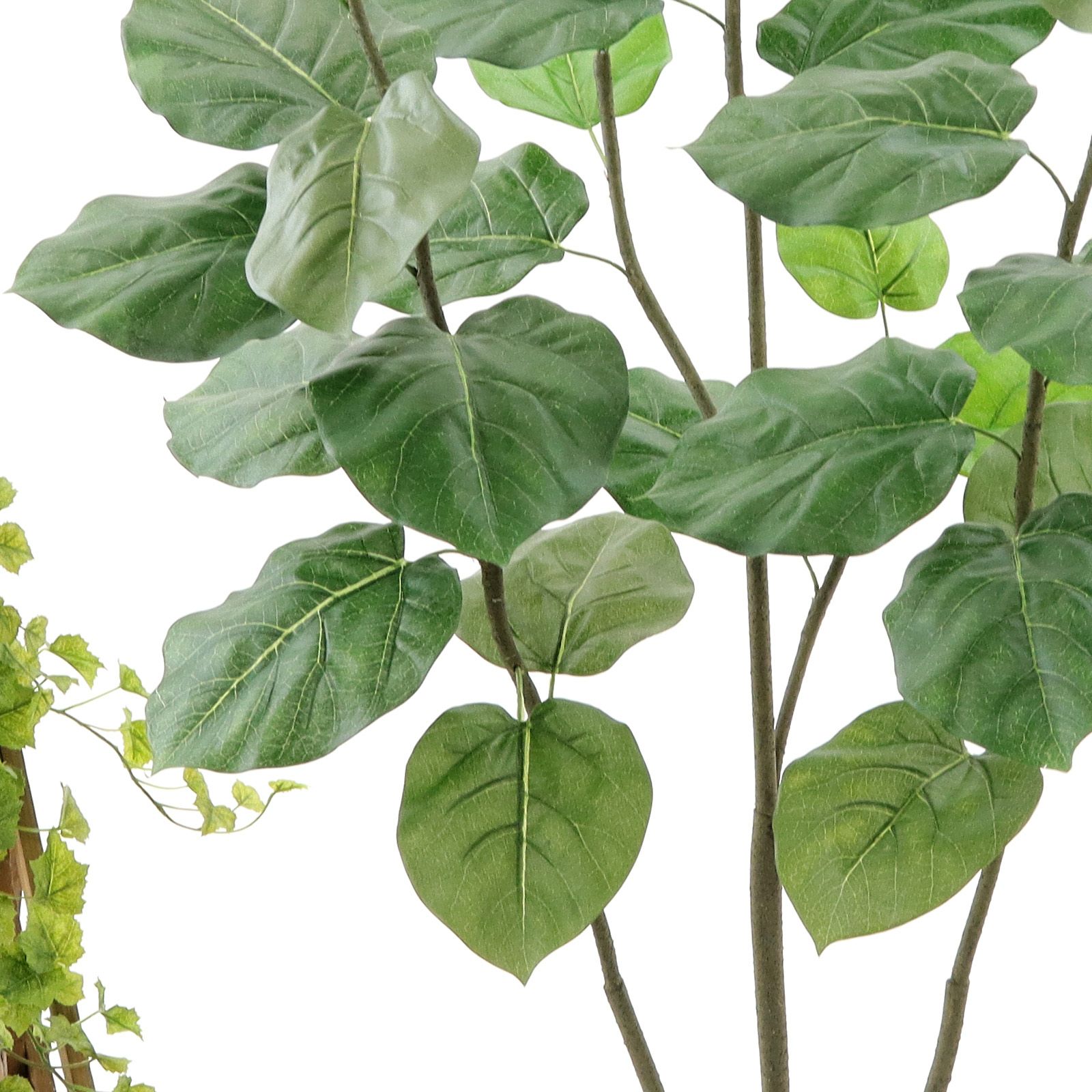 No9371 プレミアム光触媒フェイクグリーン 「ふんわり広がる葉 × 自然