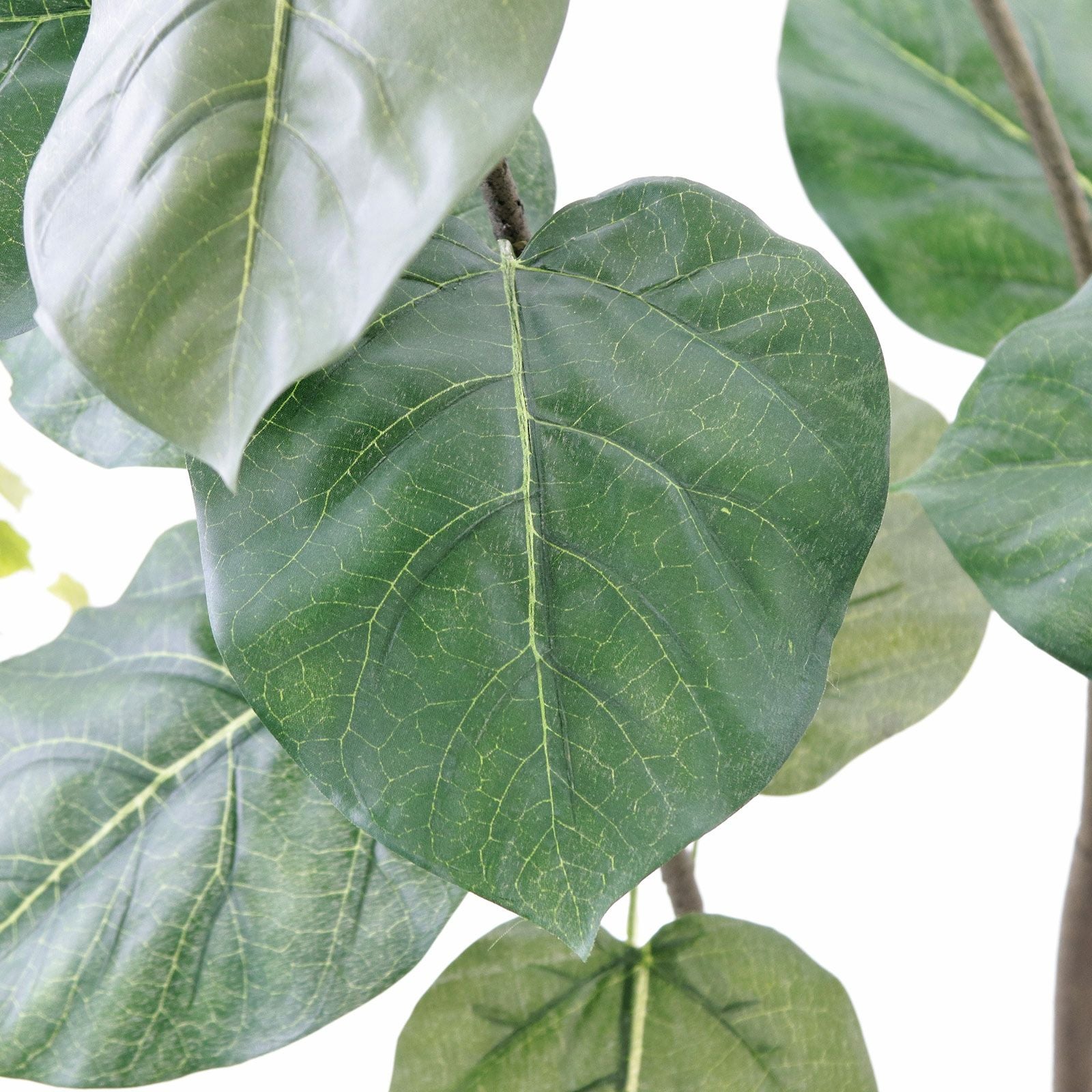 葉の形がシンプルなフェイクグリーン