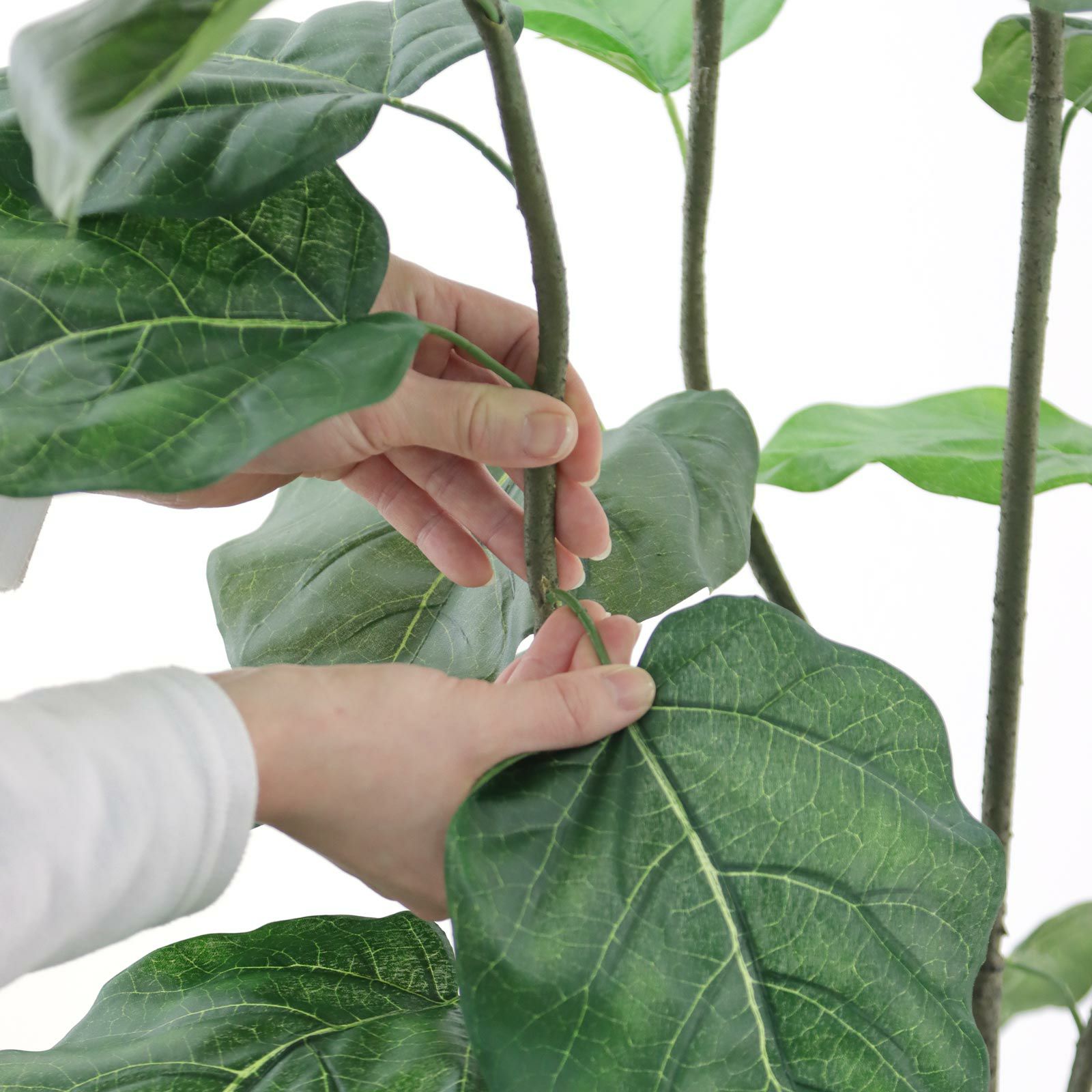 No9371 プレミアム光触媒フェイクグリーン 「ふんわり広がる葉 × 自然