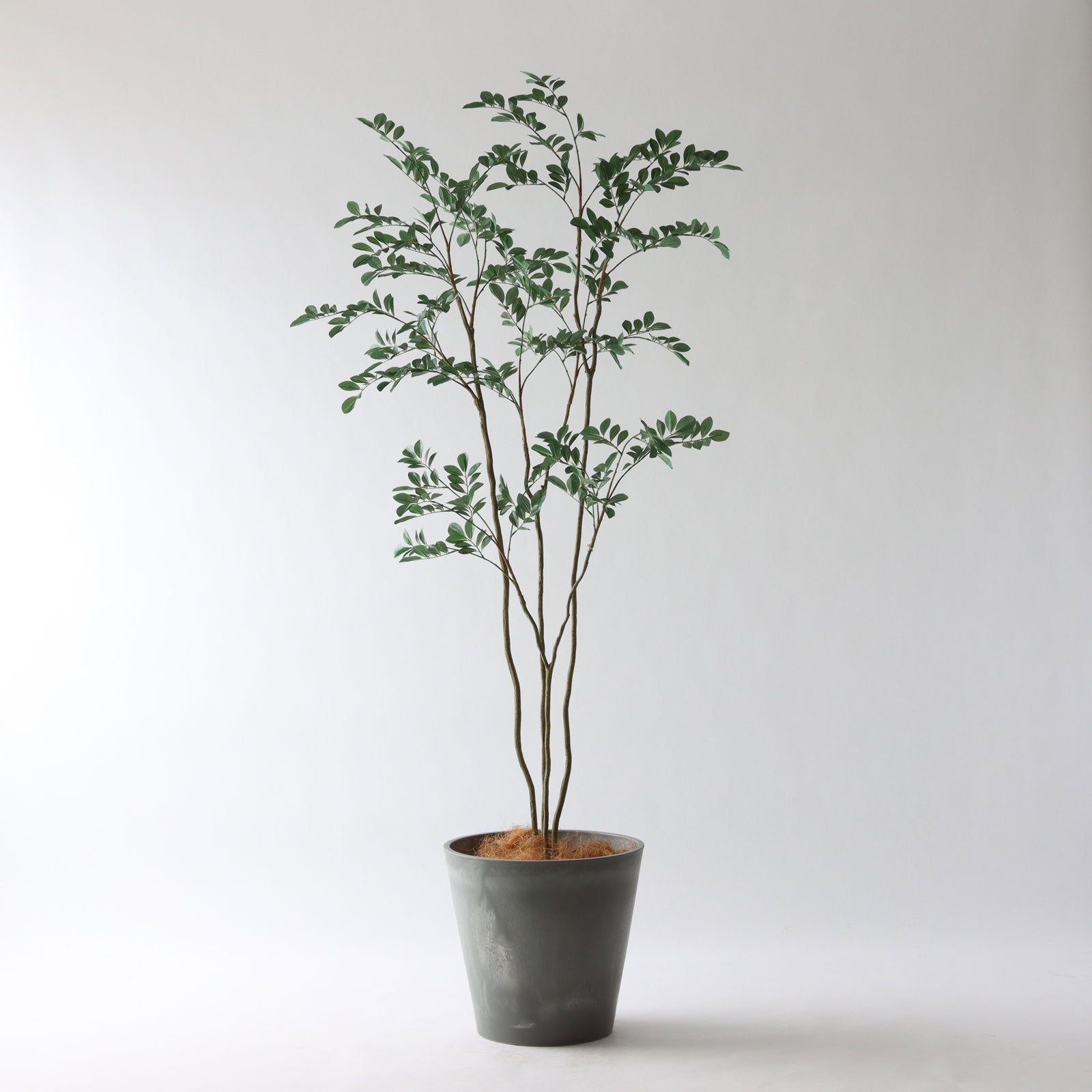 観葉植物　高さ180cmくらいあります。 高さ180cm- | プレミアム光触媒フェイクグリーン 造花ドットコム zouka.com