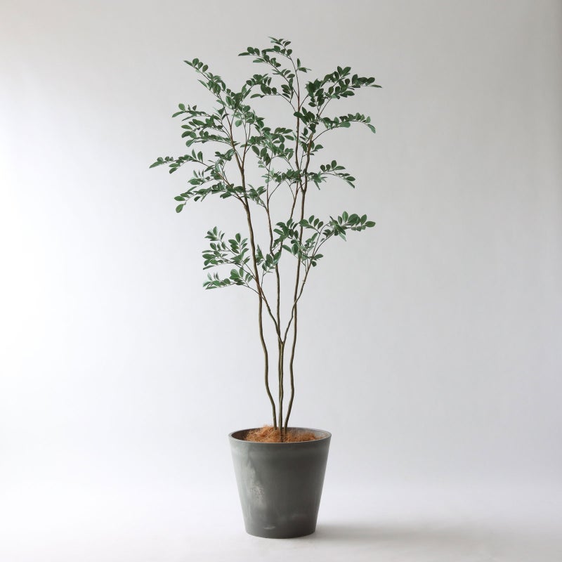 ⑯ Petraポット 大（PT10 グレー）｜高さ調整セット（+15cm）