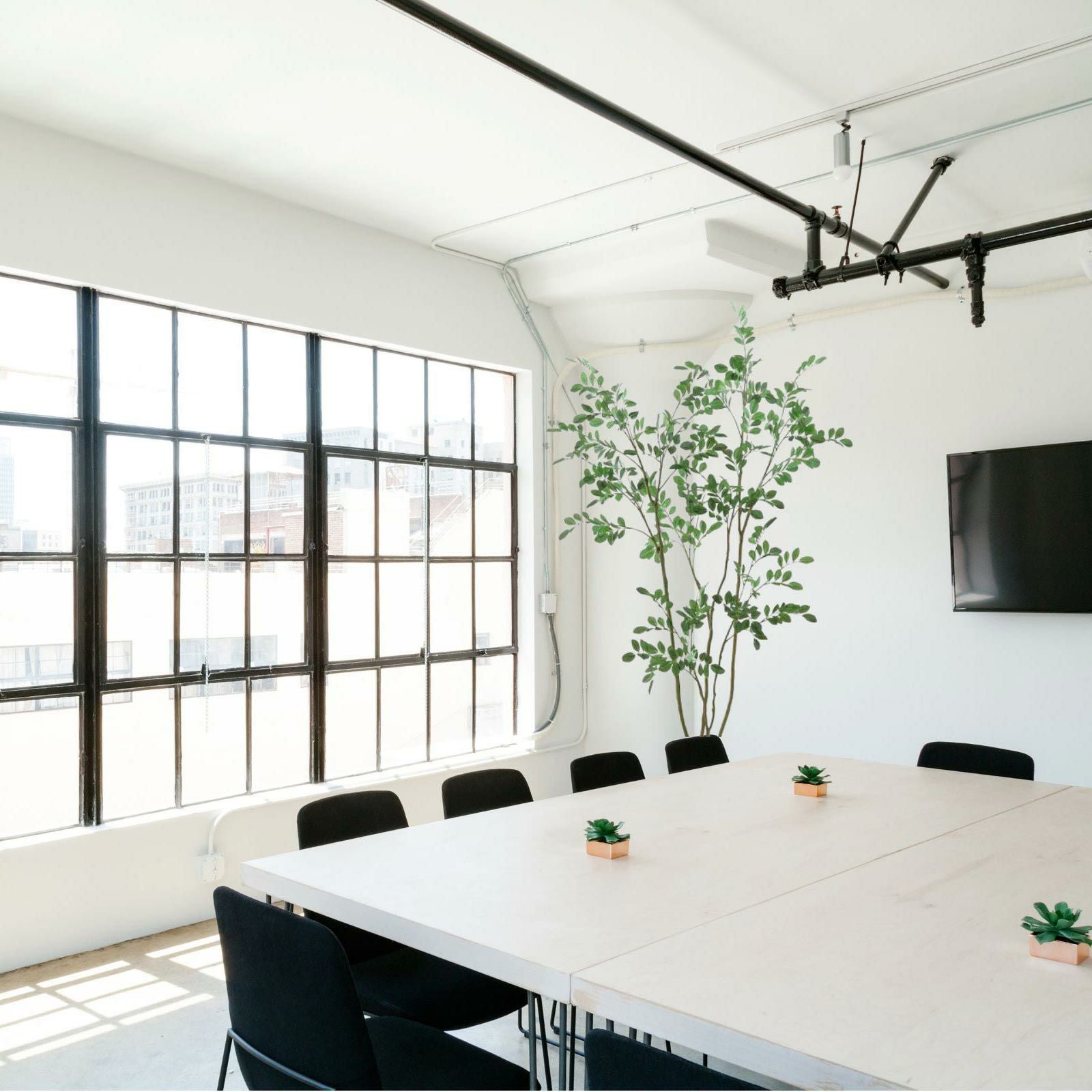 日当たりの良い会議室のグリーン