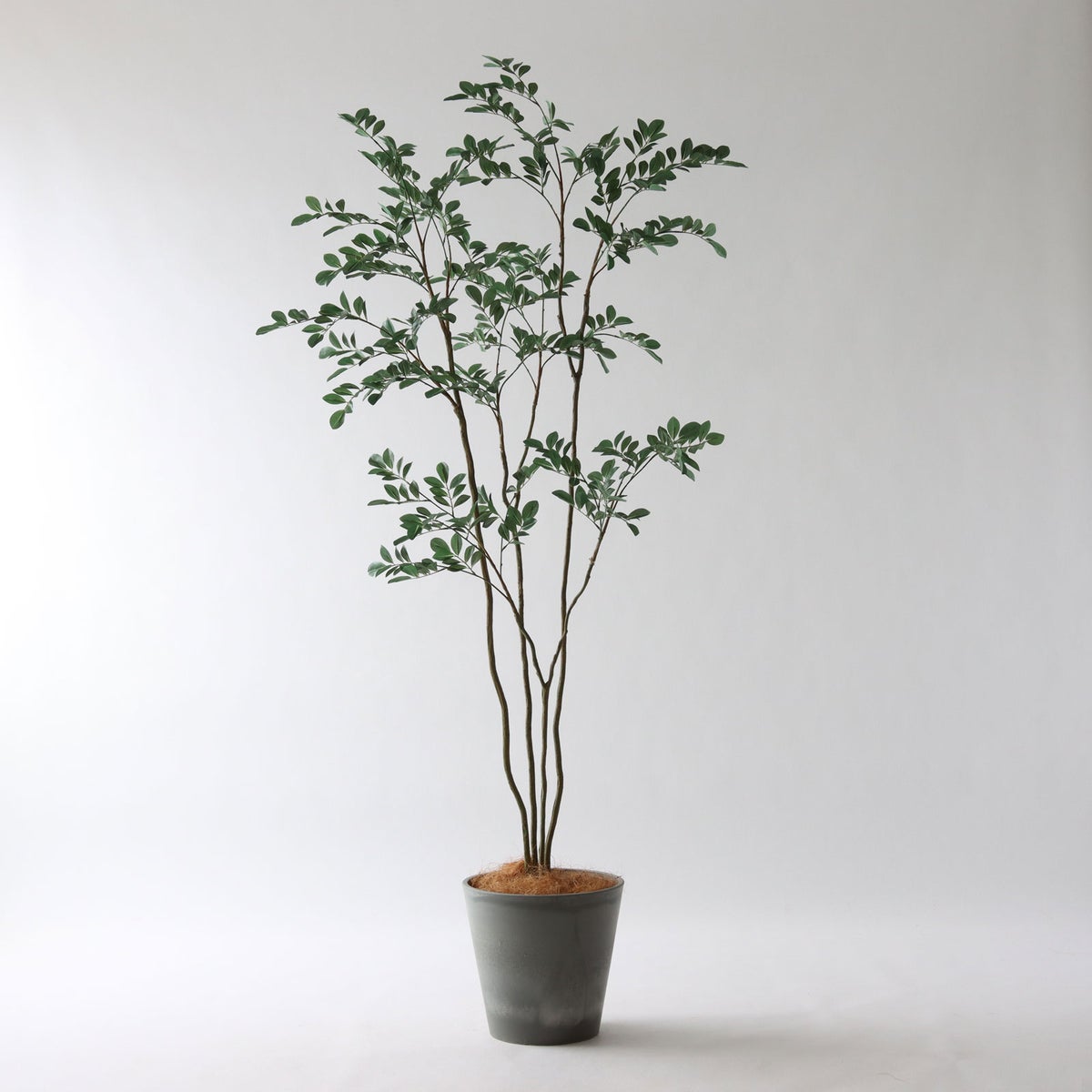  ⑮ Petraポット 小（PT8 グレー）｜高さ調整セット（+10cm）