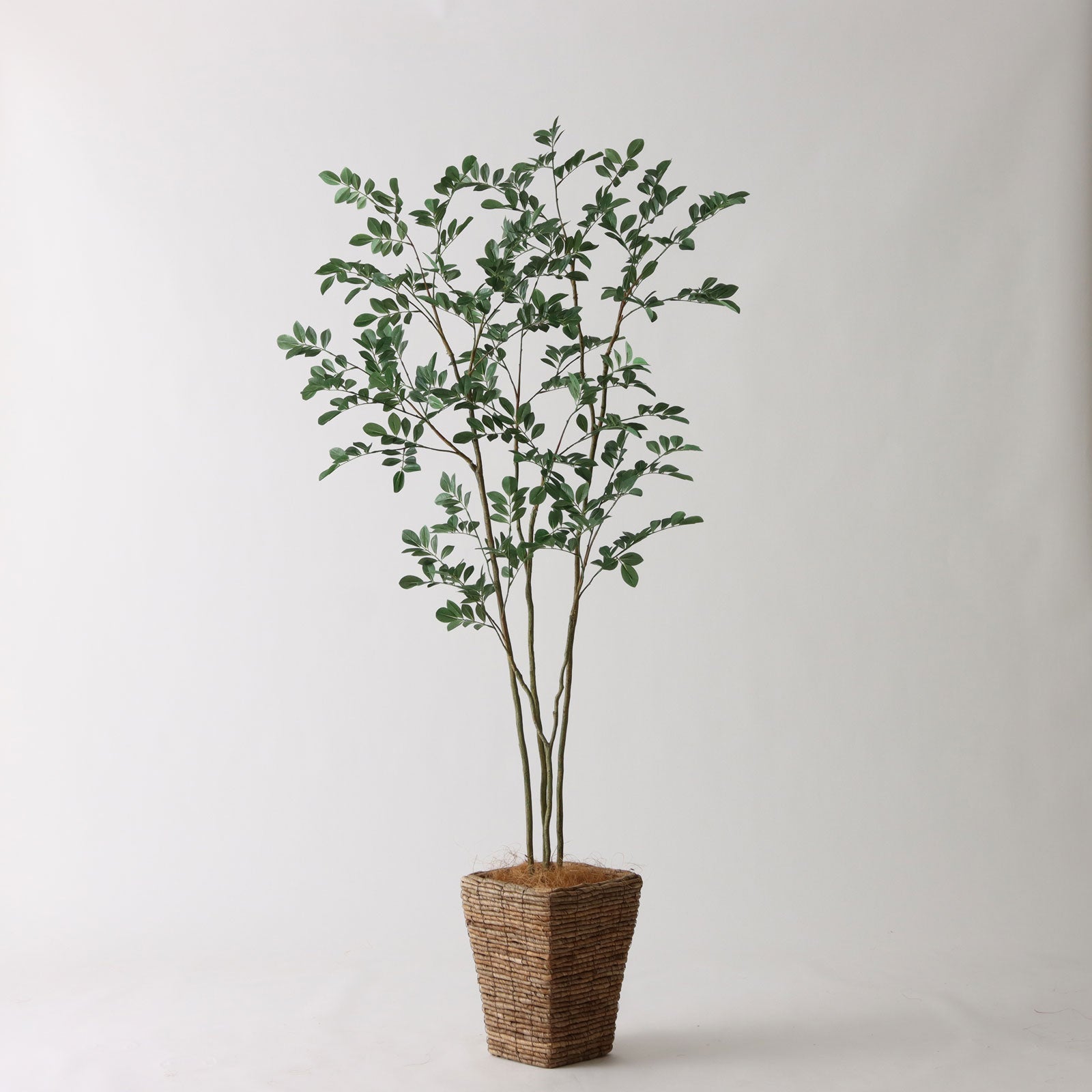 高さ180cm- | プレミアム光触媒フェイクグリーン 造花ドットコム zouka.com