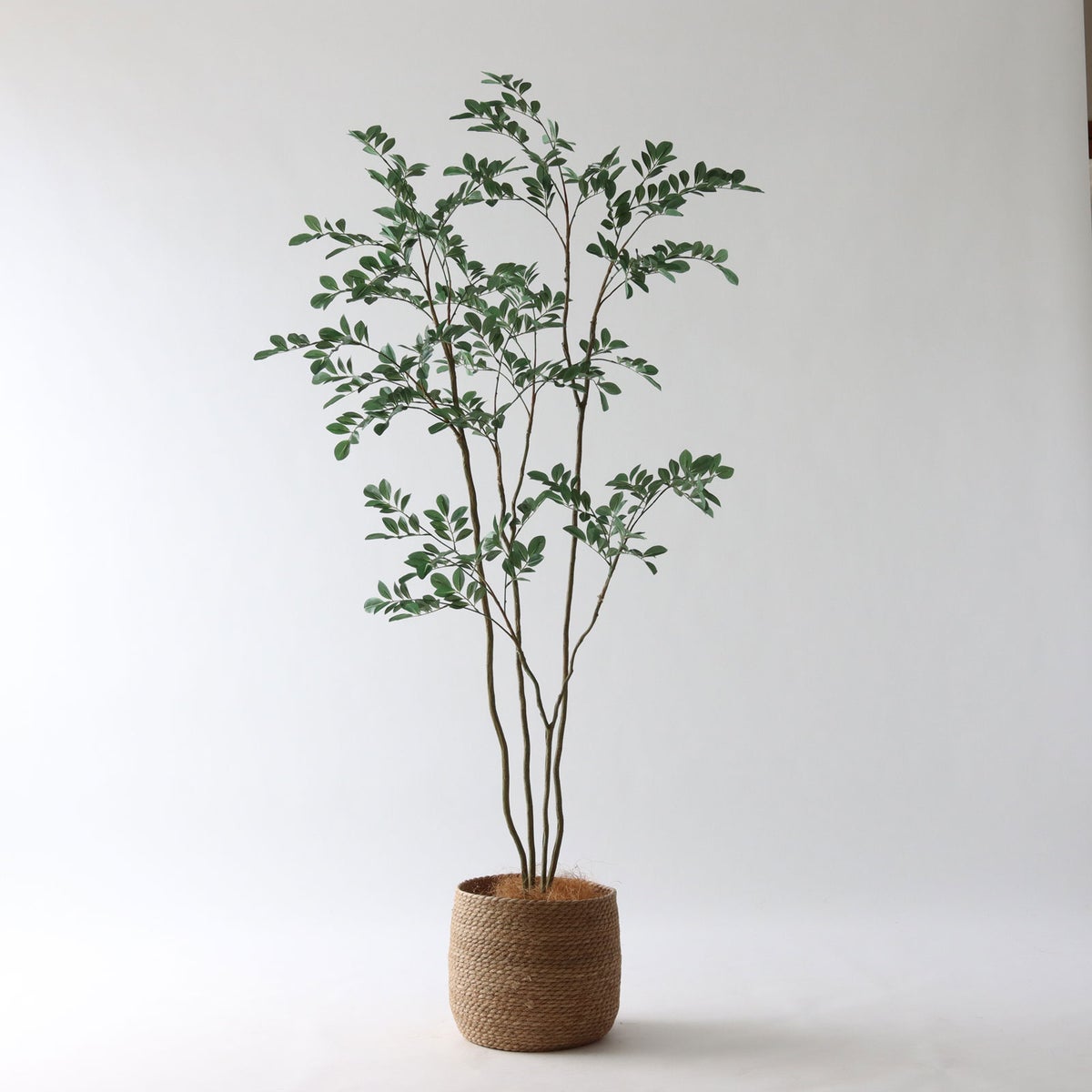 ① シーグラス 大（SK8）｜標準セット