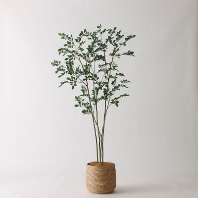 オリーブの木 | プレミアム光触媒フェイクグリーン 造花ドットコム 