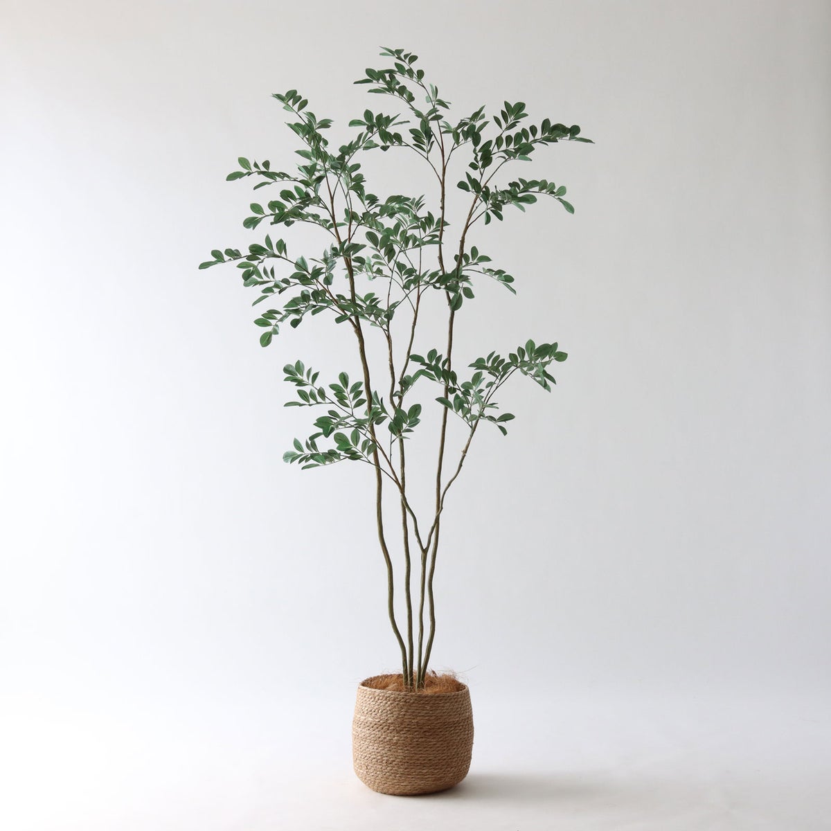 ③ シーグラス 小（SK7）｜標準セット