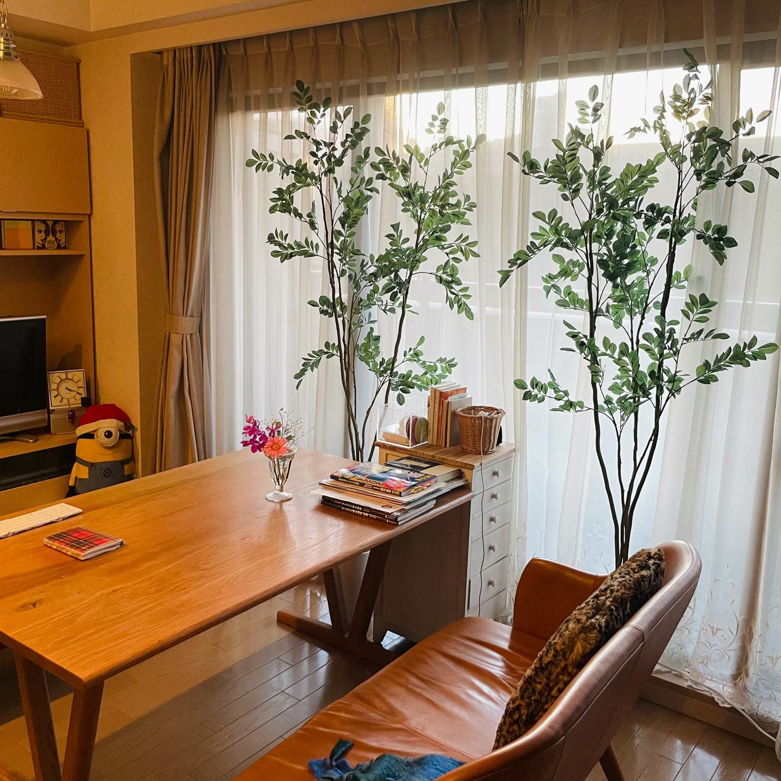 日差しよけに置かれたグリーンのある生活空間