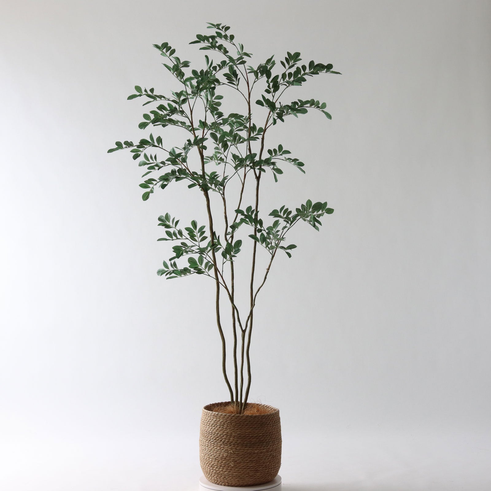 360度回転イメージ