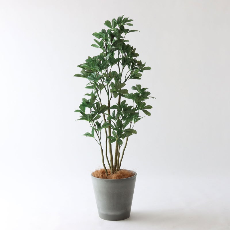 ⑮ Petraポット 小（PT8 グレー）｜高さ調整セット（+10cm）