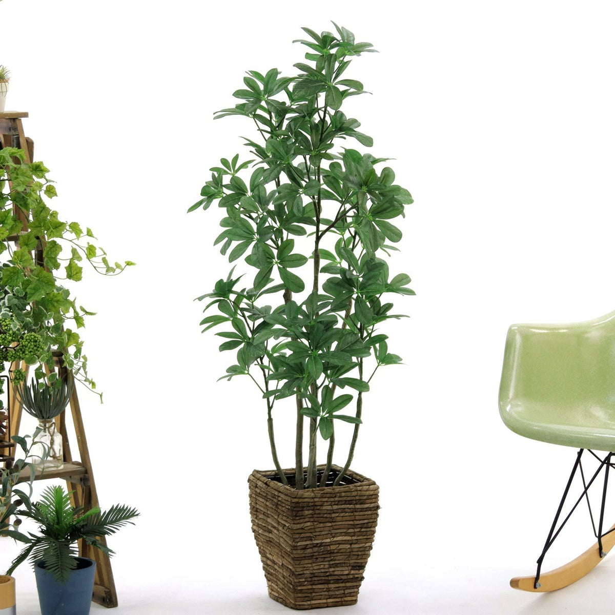 ④ バナナリーフ 小（KG4-SRE）