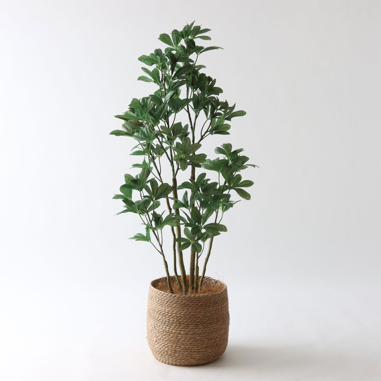 フェイク植物 消臭フェイクグリーン（フェイクグリーン/造花）｜通販のベルメゾンネット
