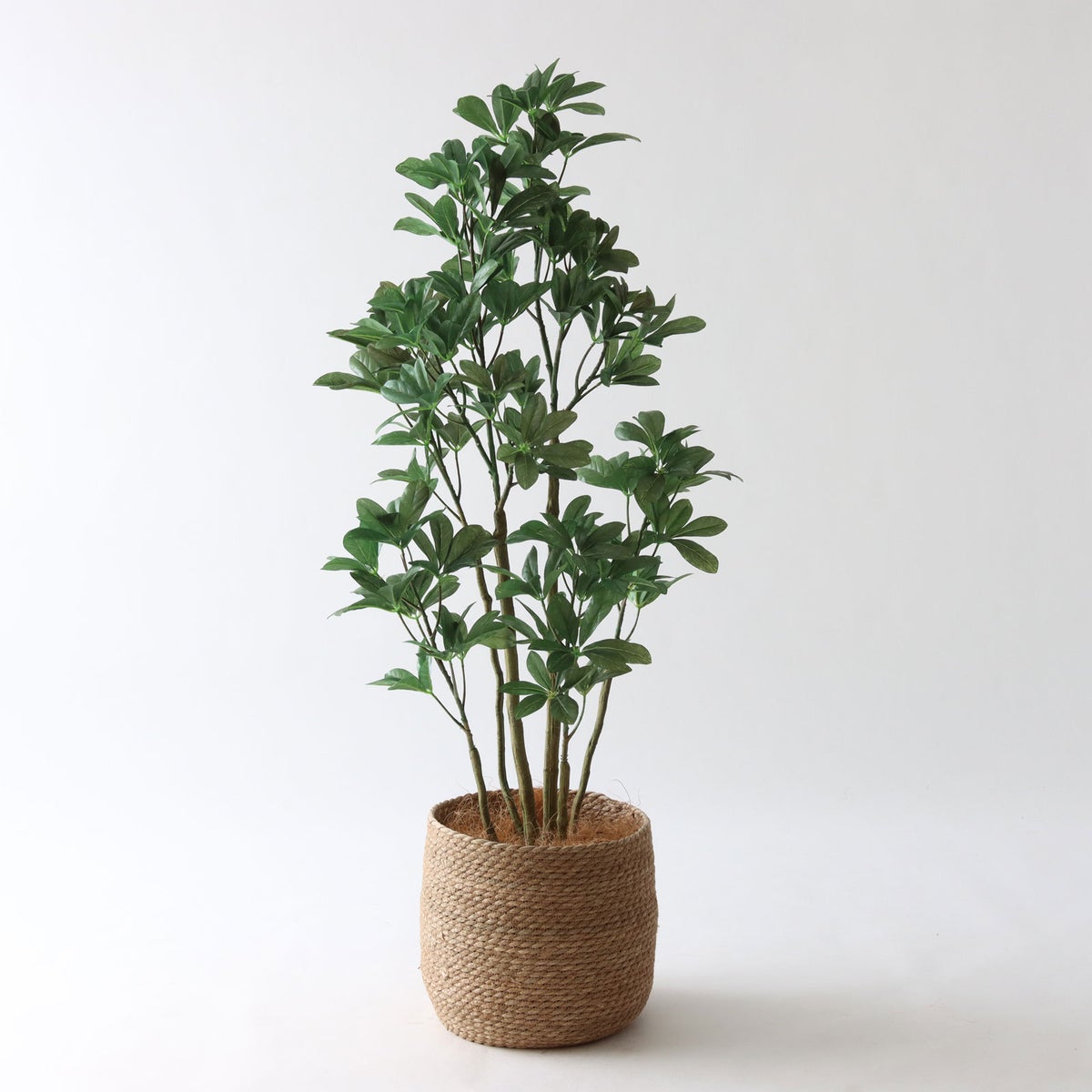  ① シーグラス 大（SK8）｜標準セット