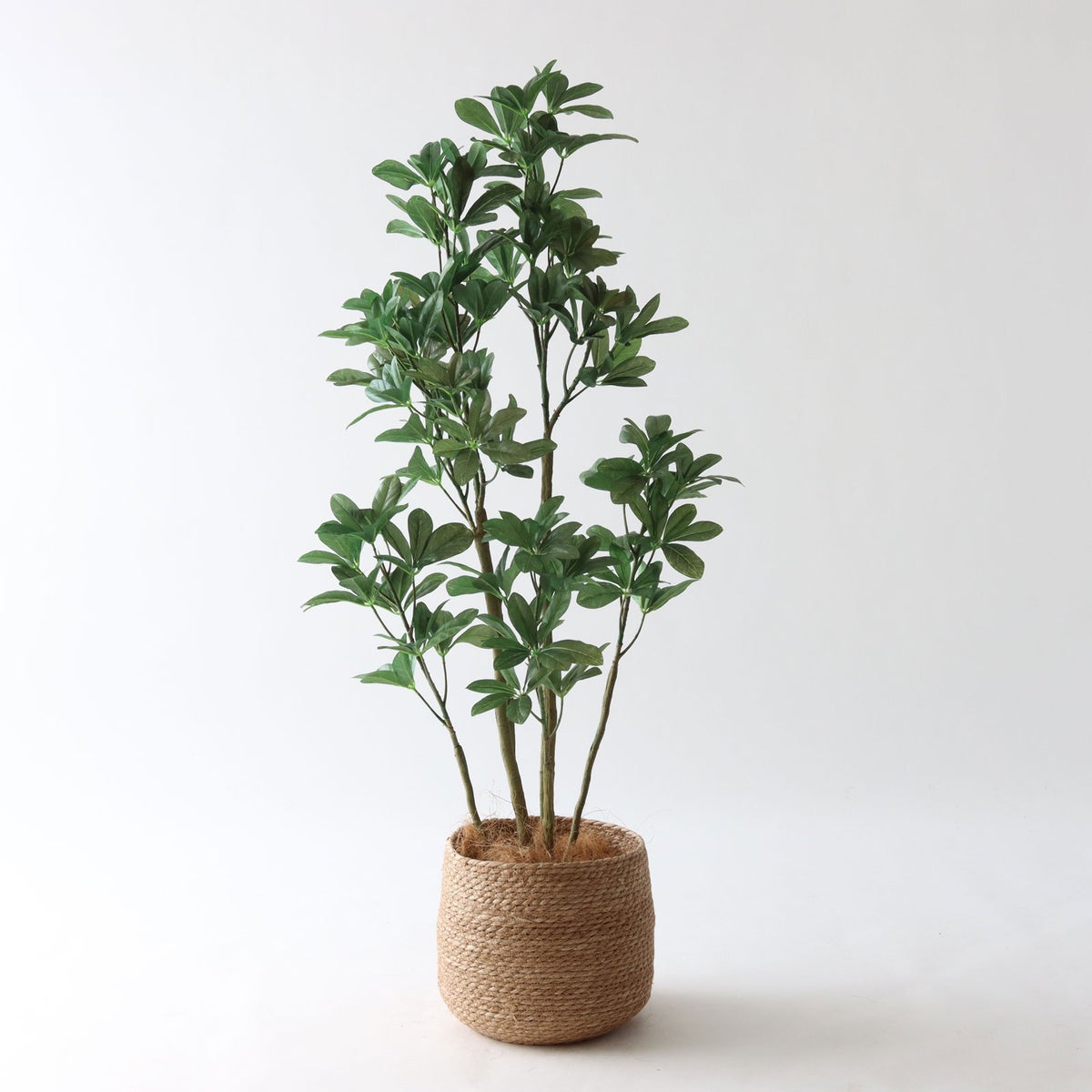 ③ シーグラス 小（SK7）｜標準セット