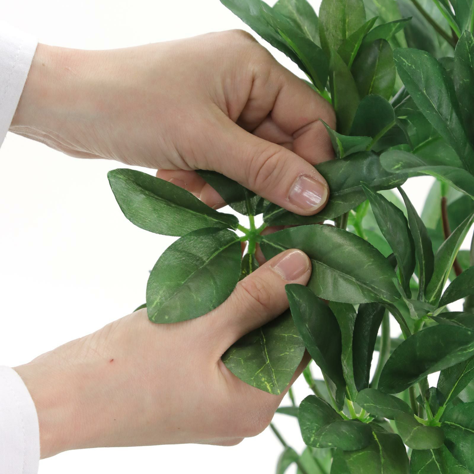 000000000166-24.jpg?size=org&t