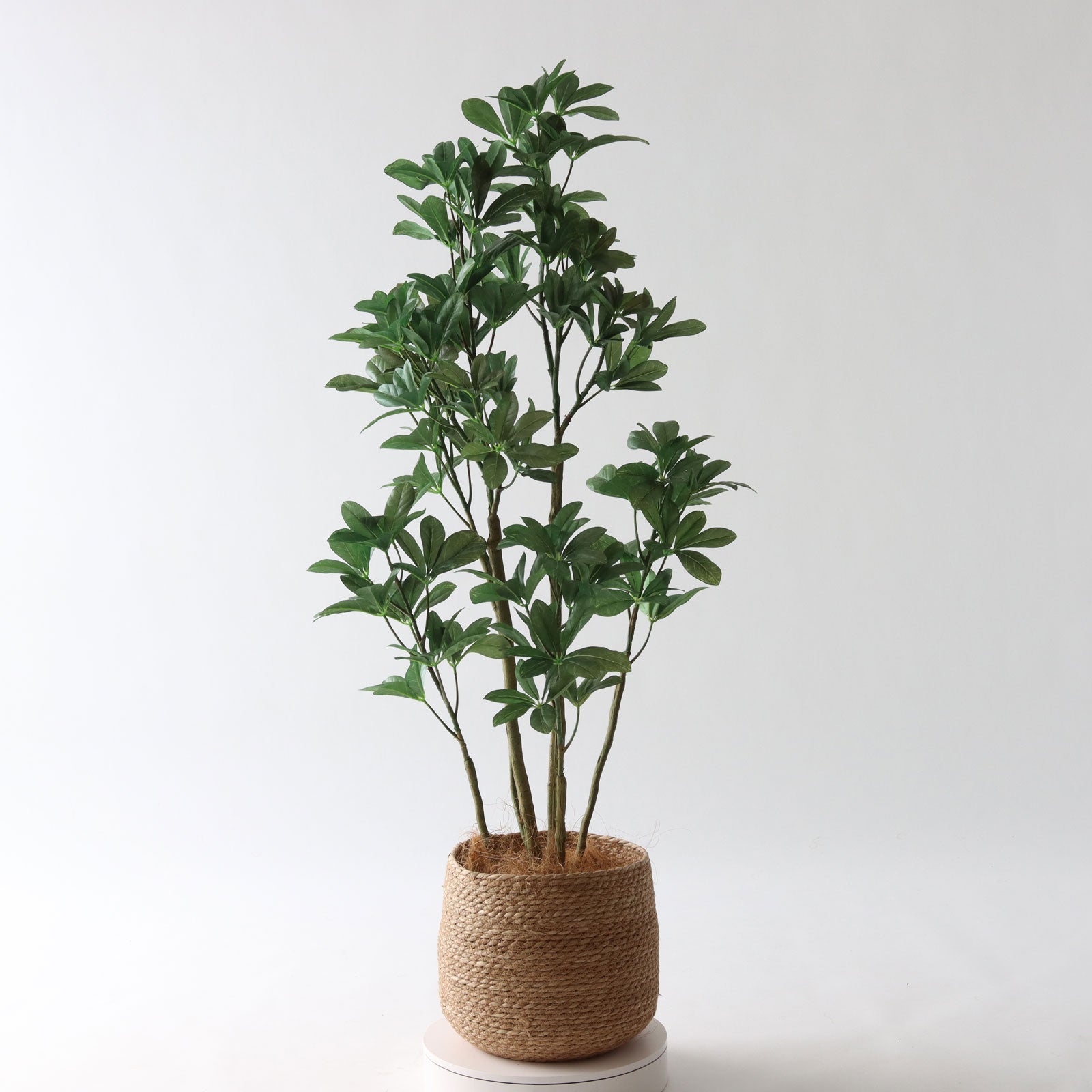 360度回転イメージ