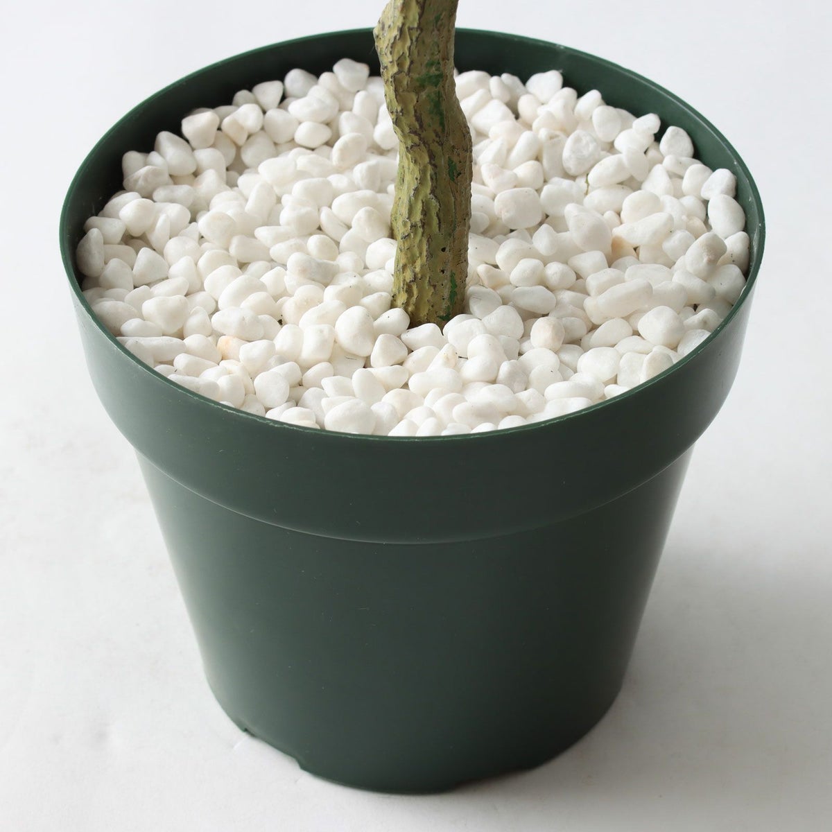 ⑭ プラ鉢（標準）