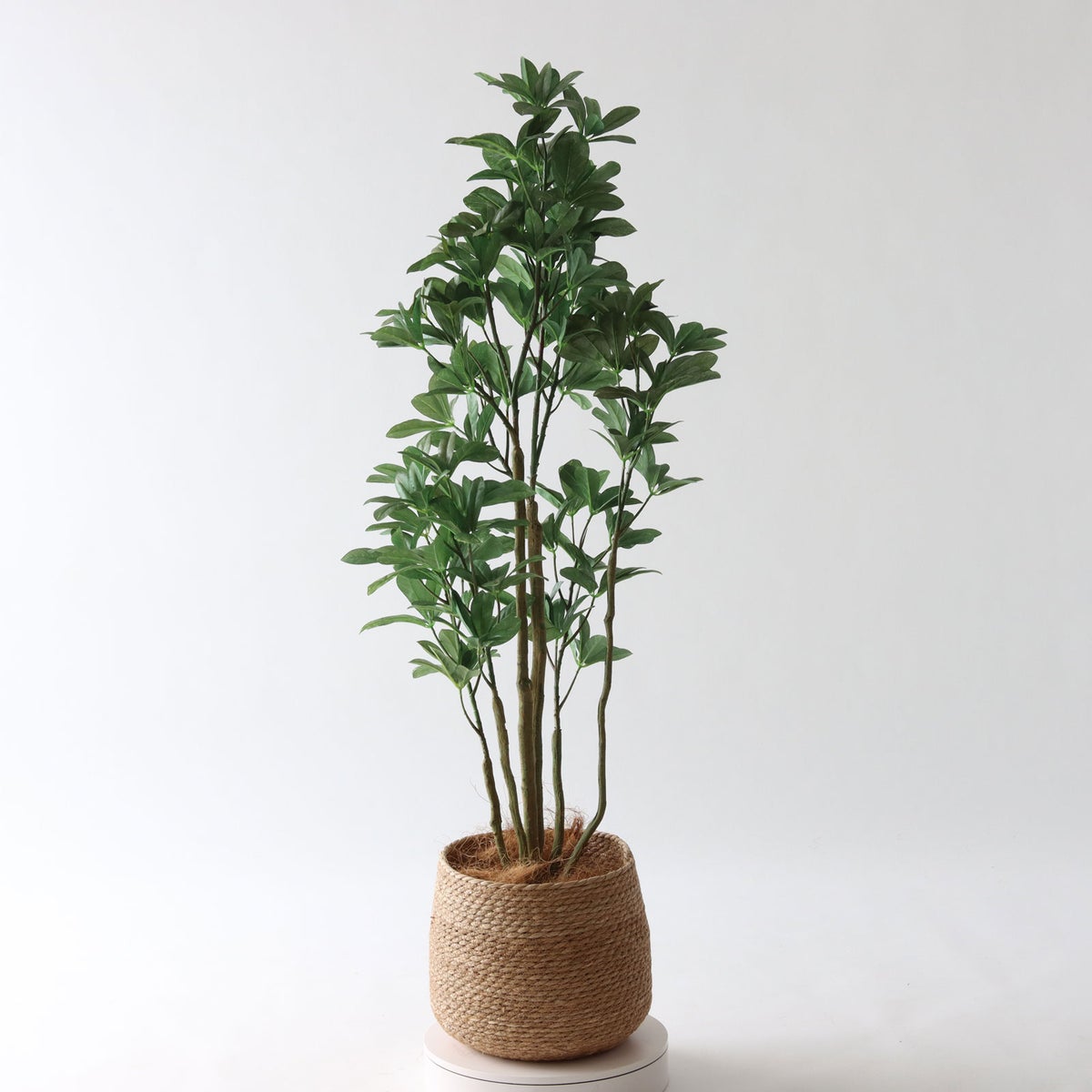 ③ シーグラス 小（SK7）鉢カバーセット