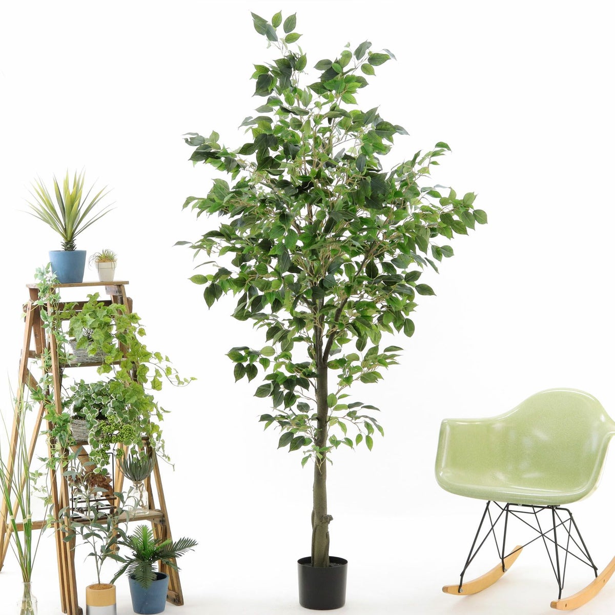 プラ鉢（+0円）