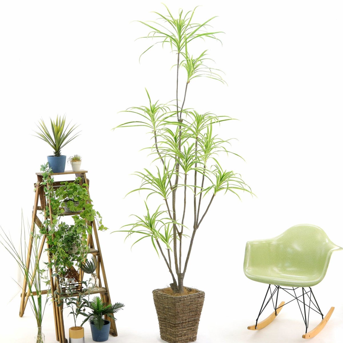 ② バナナリーフ 大（KG5-SRE）鉢カバーセット