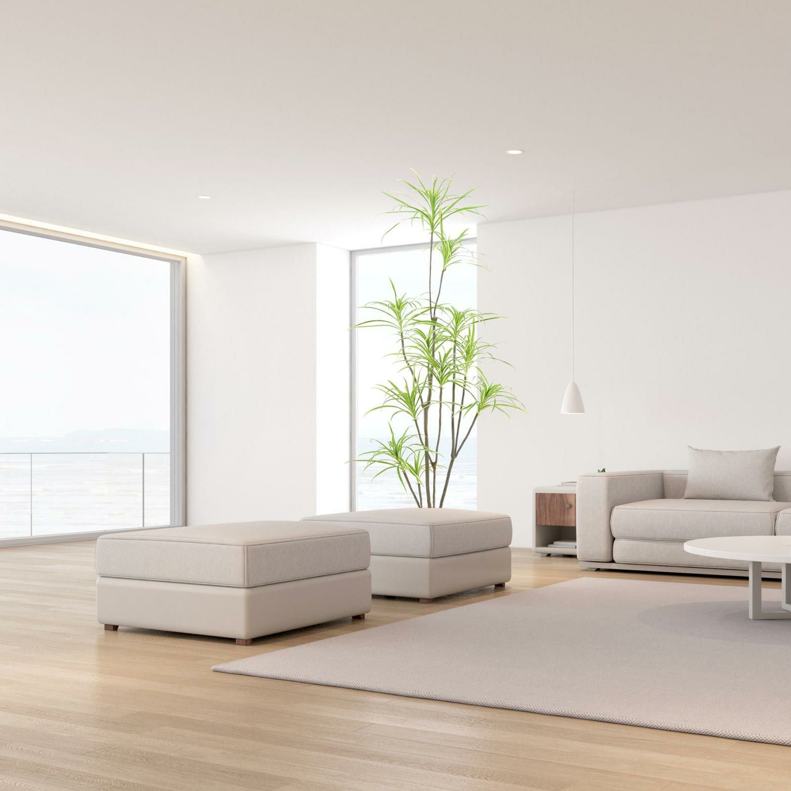 海の見えるリビング ソファ横のグリーン