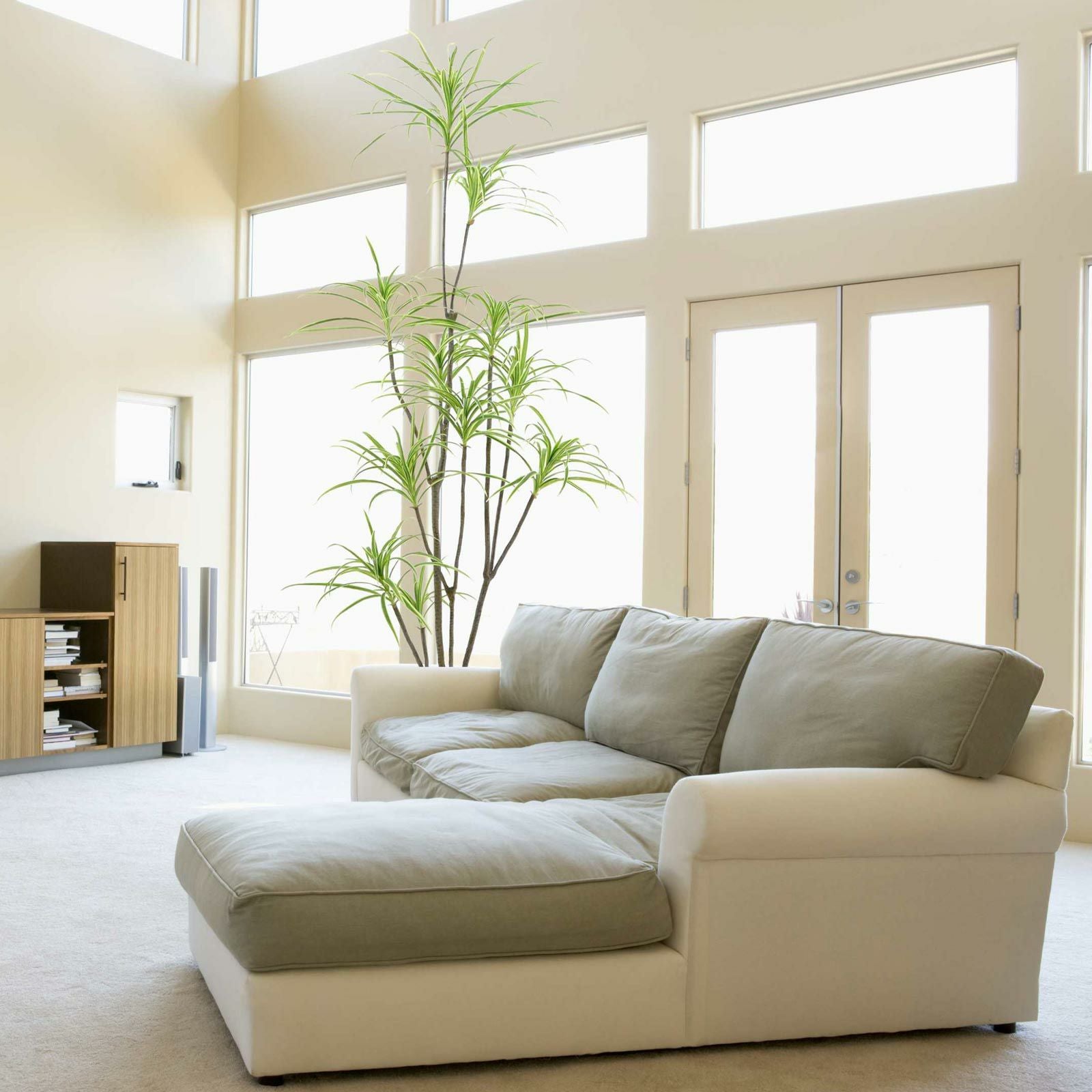 オーディオルーム ソファ横のグリーン