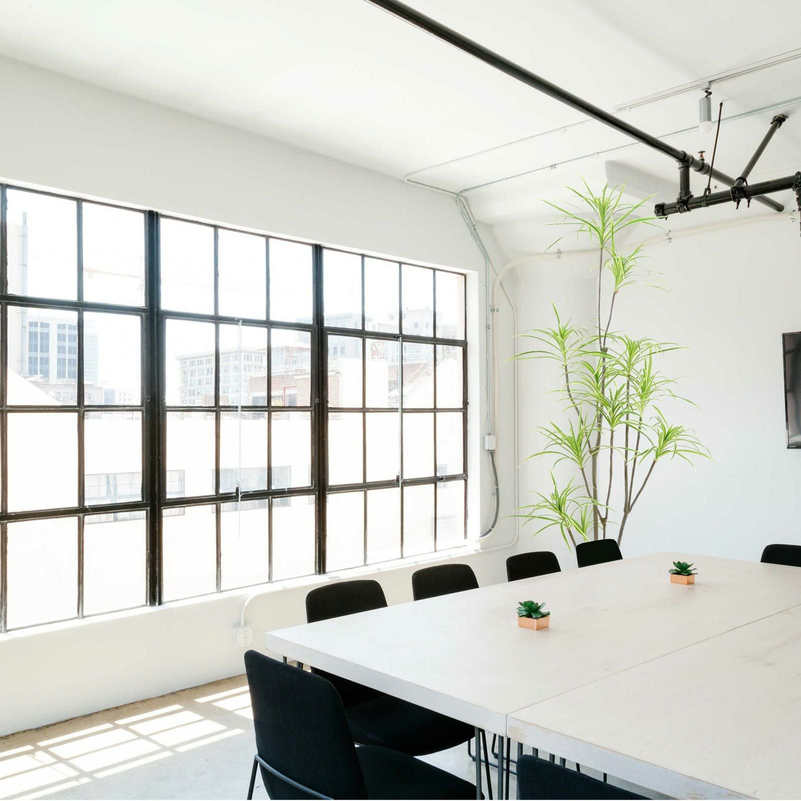 オフィス会議室 窓前のグリーン