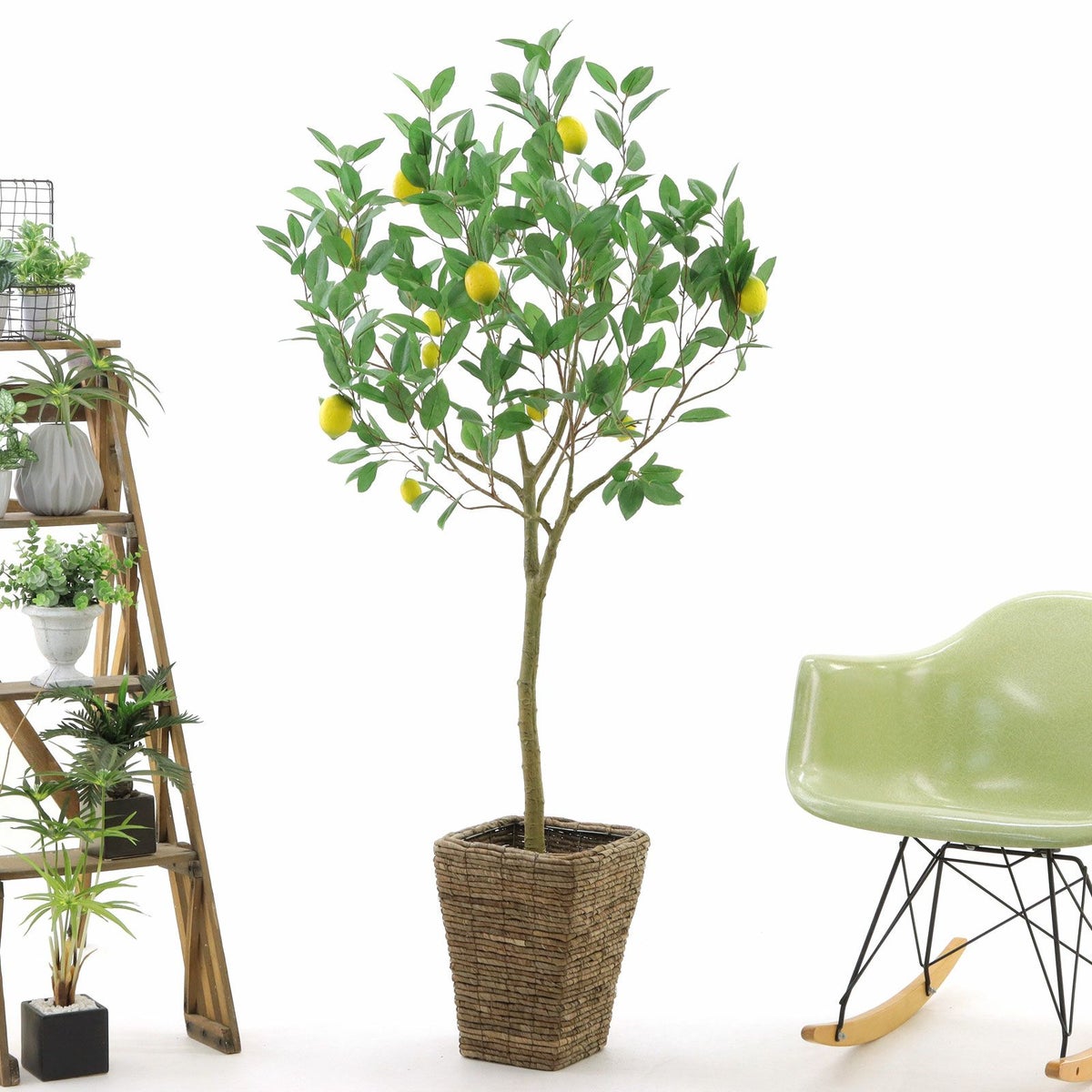 ② バナナリーフ 大（KG5-SRE）