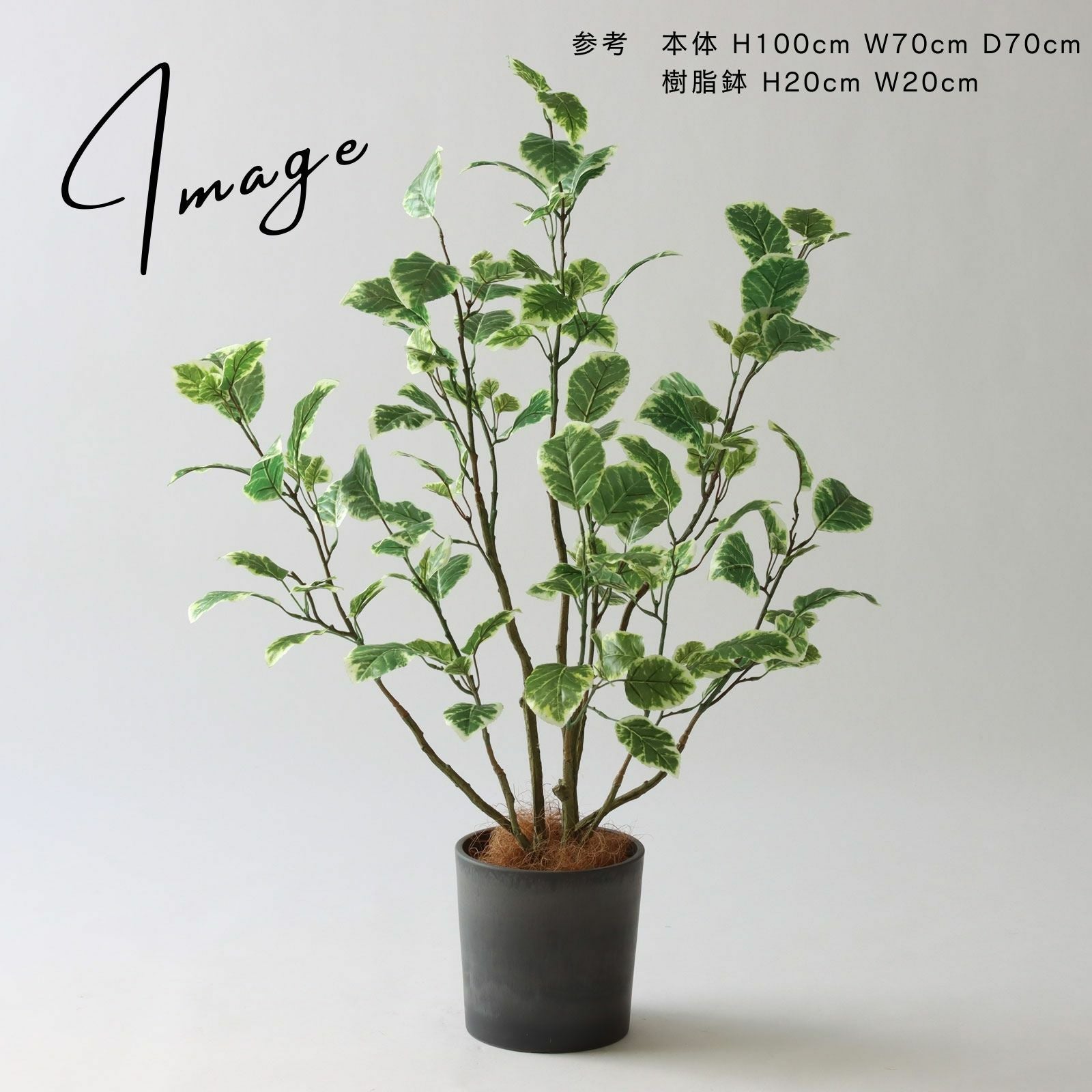 空間に馴染むグリーンのあるインテリア