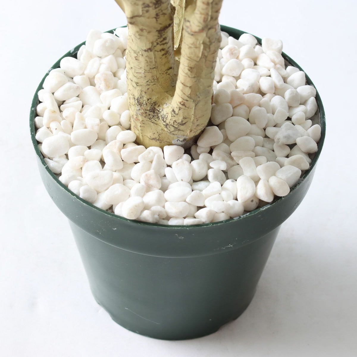 ⑭ プラ鉢（標準）