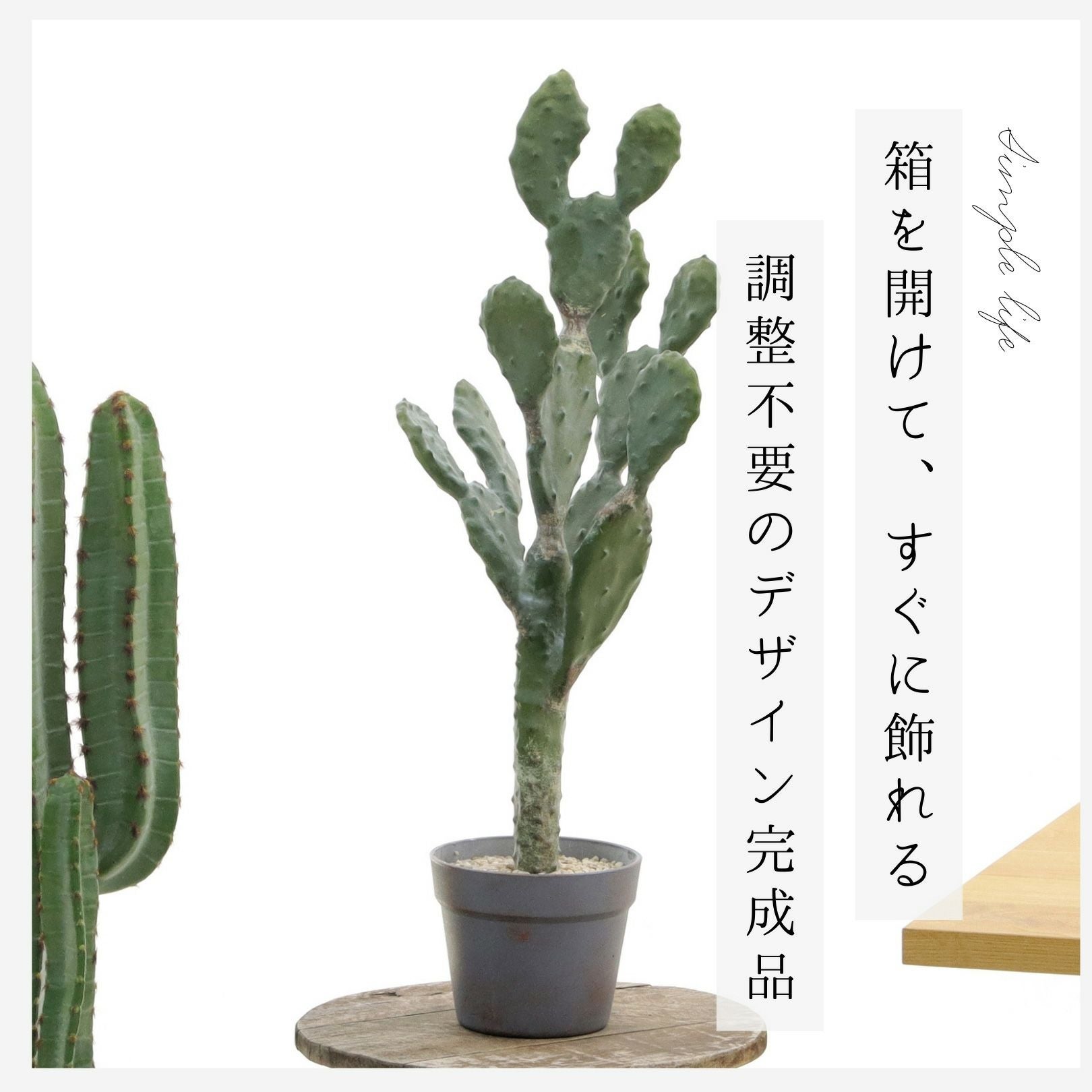 西海岸風 | プレミアム光触媒フェイクグリーン 造花ドットコム zouka.com