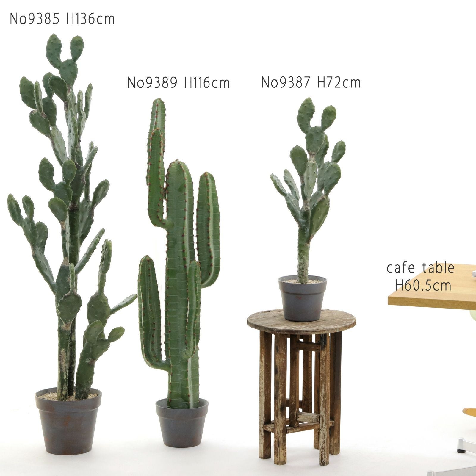 光触媒　人工観葉植物　ウォールグリーン　フェイクグリーン　ウチワサボテンz サボテン カクタス | プレミアム光触媒フェイクグリーン 造花ドット