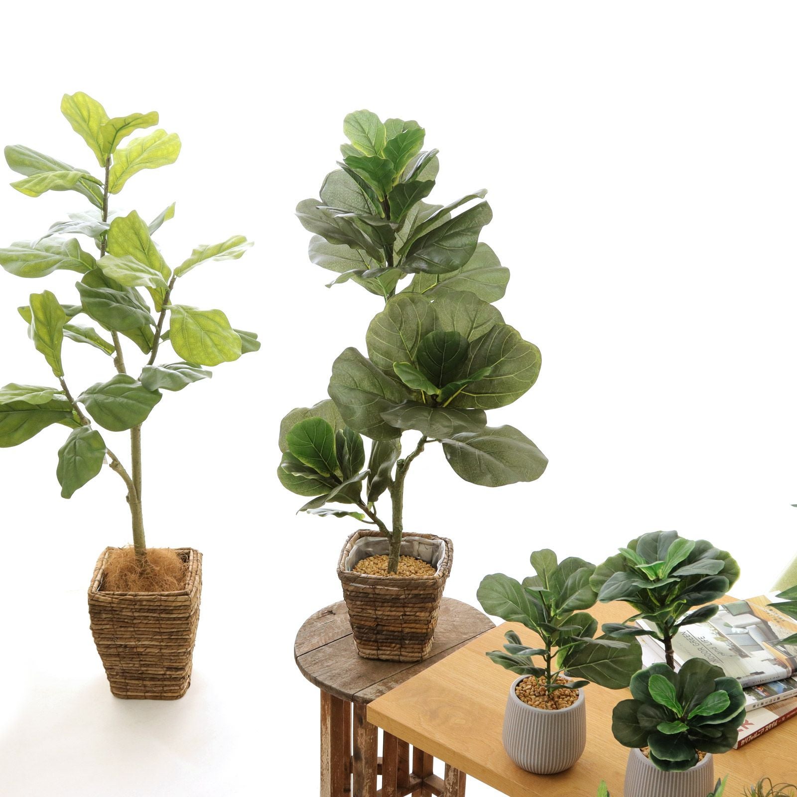 緑あふれる空間の中のグリーン