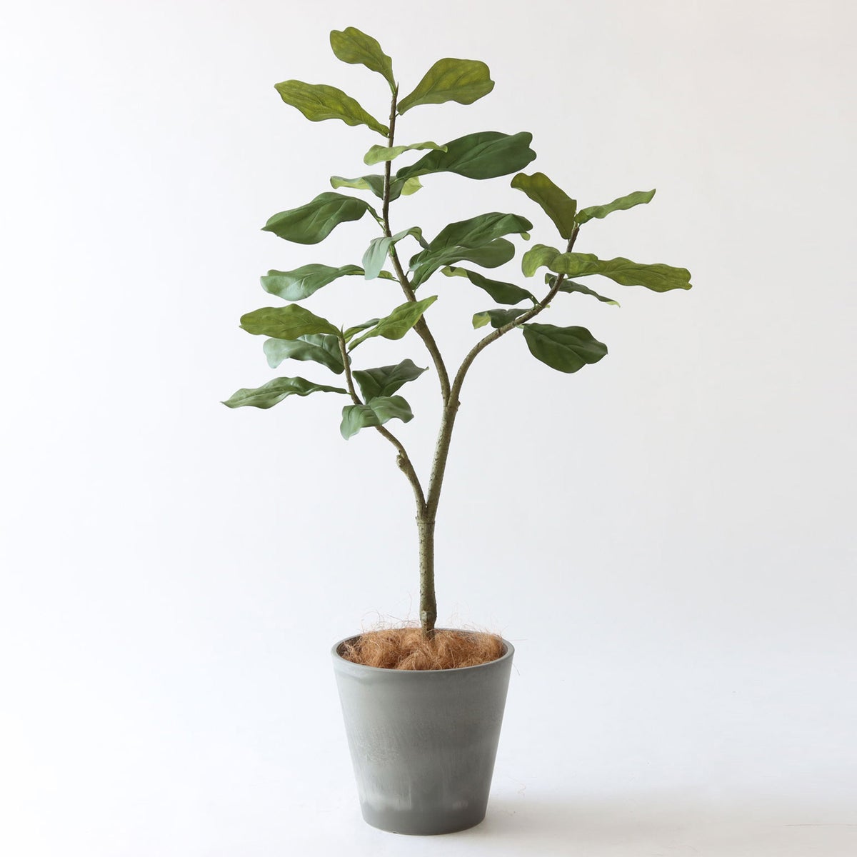 ⑮Petraポット 小（PT8 グレー）鉢カバー＋底上げセット