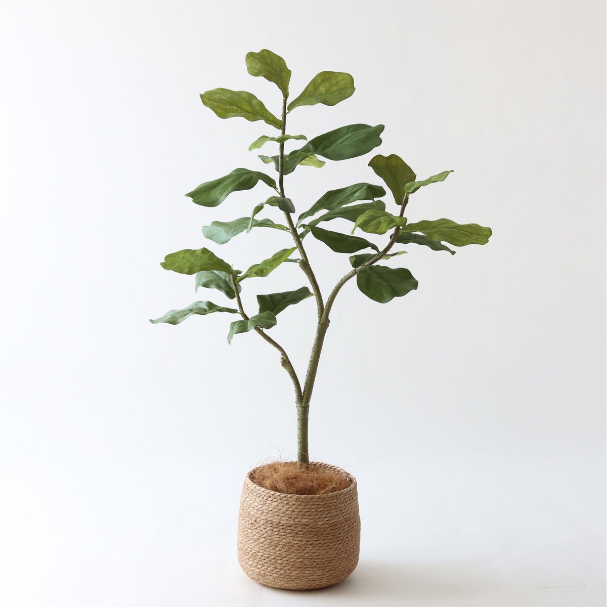 ③ シーグラス 小（SK7）｜標準セット