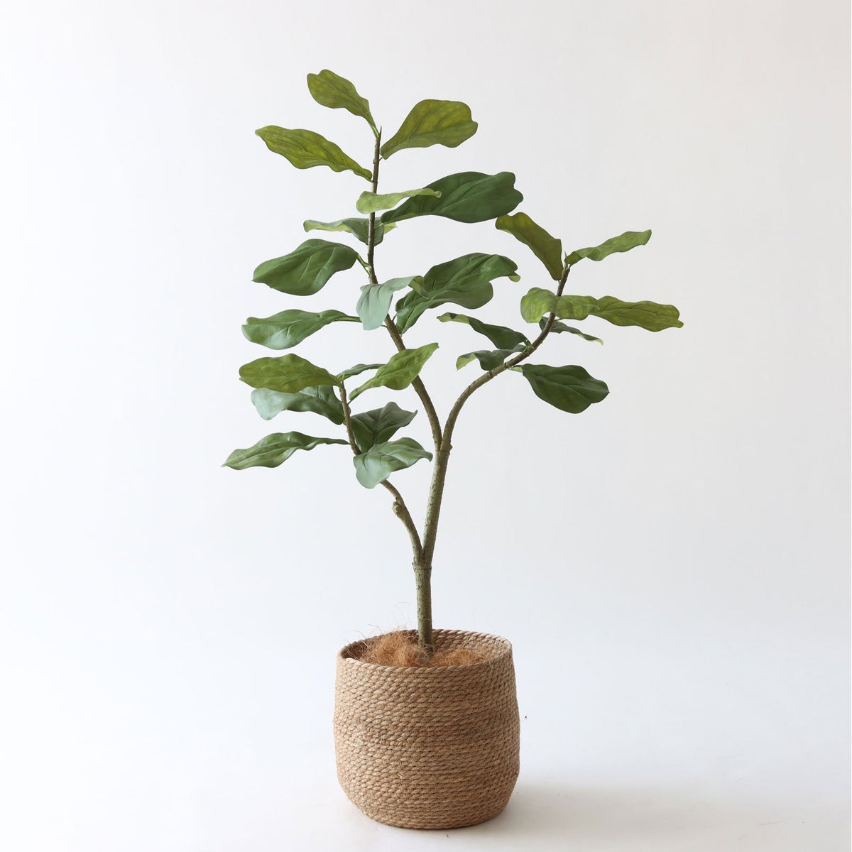 ① シーグラス 大（SK8）鉢カバーセット