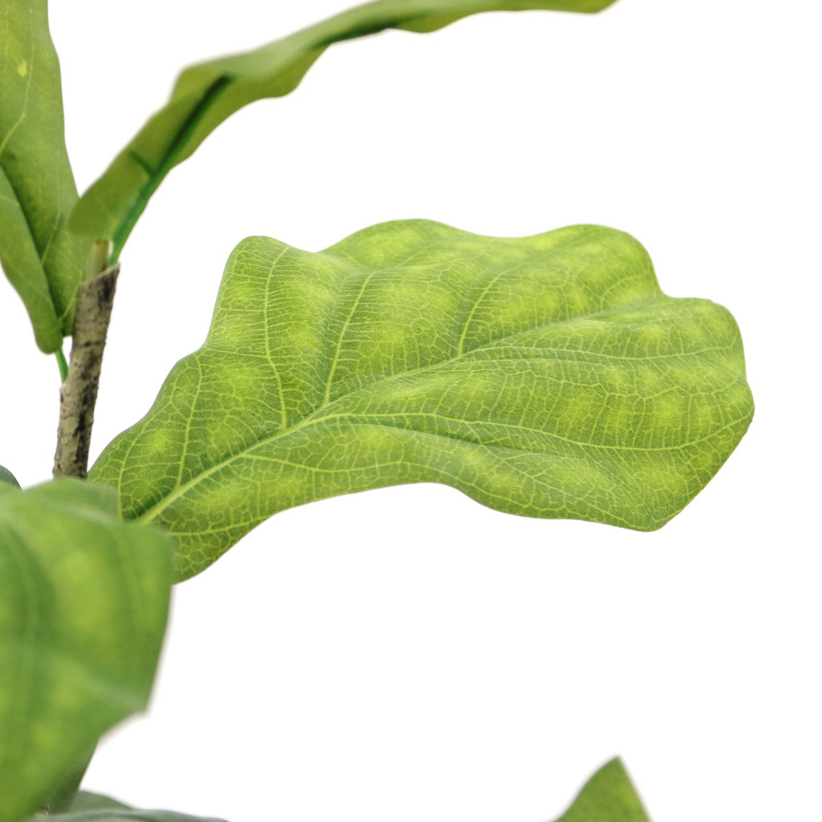 ① シーグラス 大（SK8）鉢カバーセット