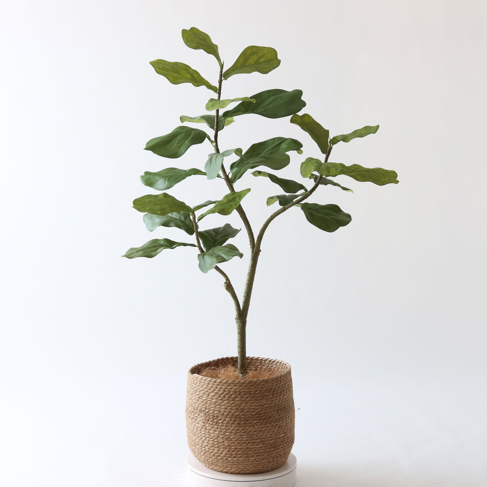 360度回転イメージ