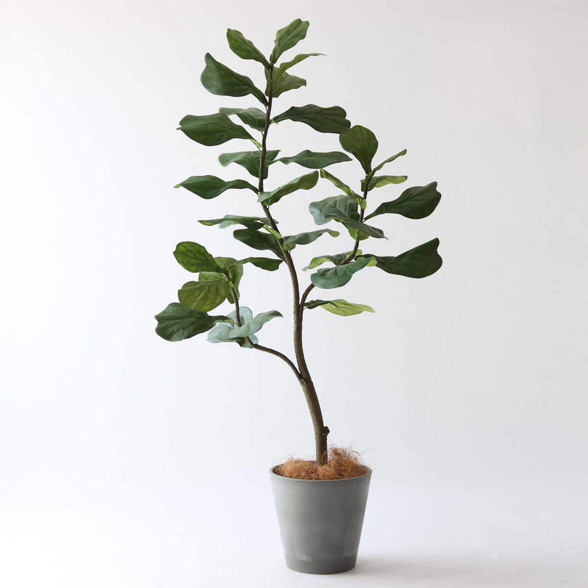 ⑮ Petraポット 小（PT8 グレー）｜高さ調整セット（+10cm）