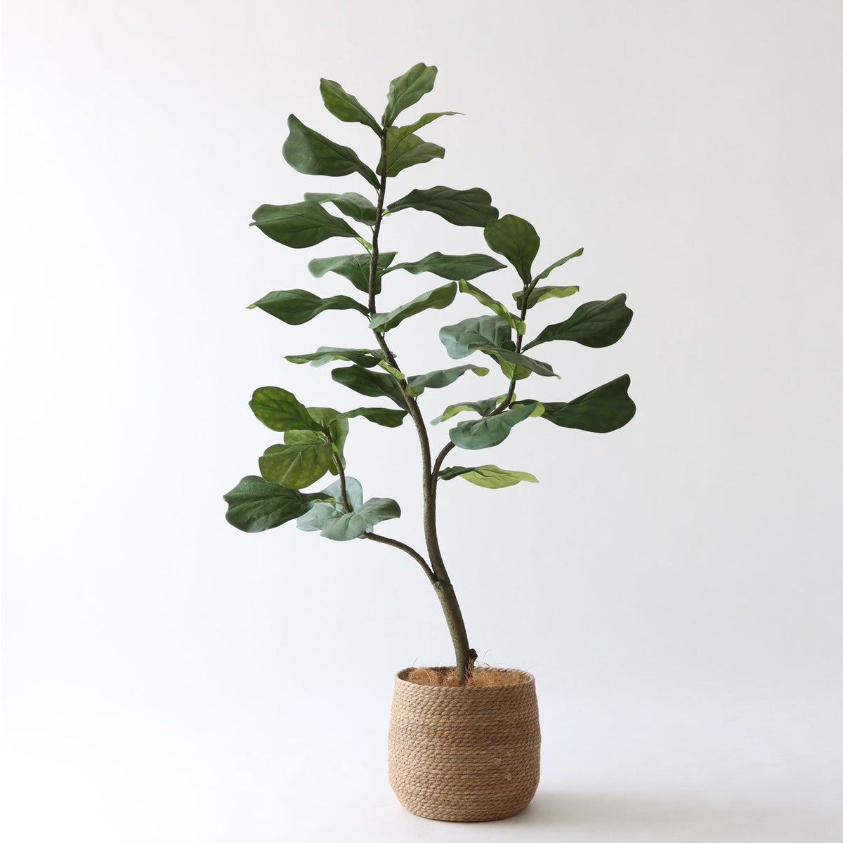 ① シーグラス 大（SK8）鉢カバーセット