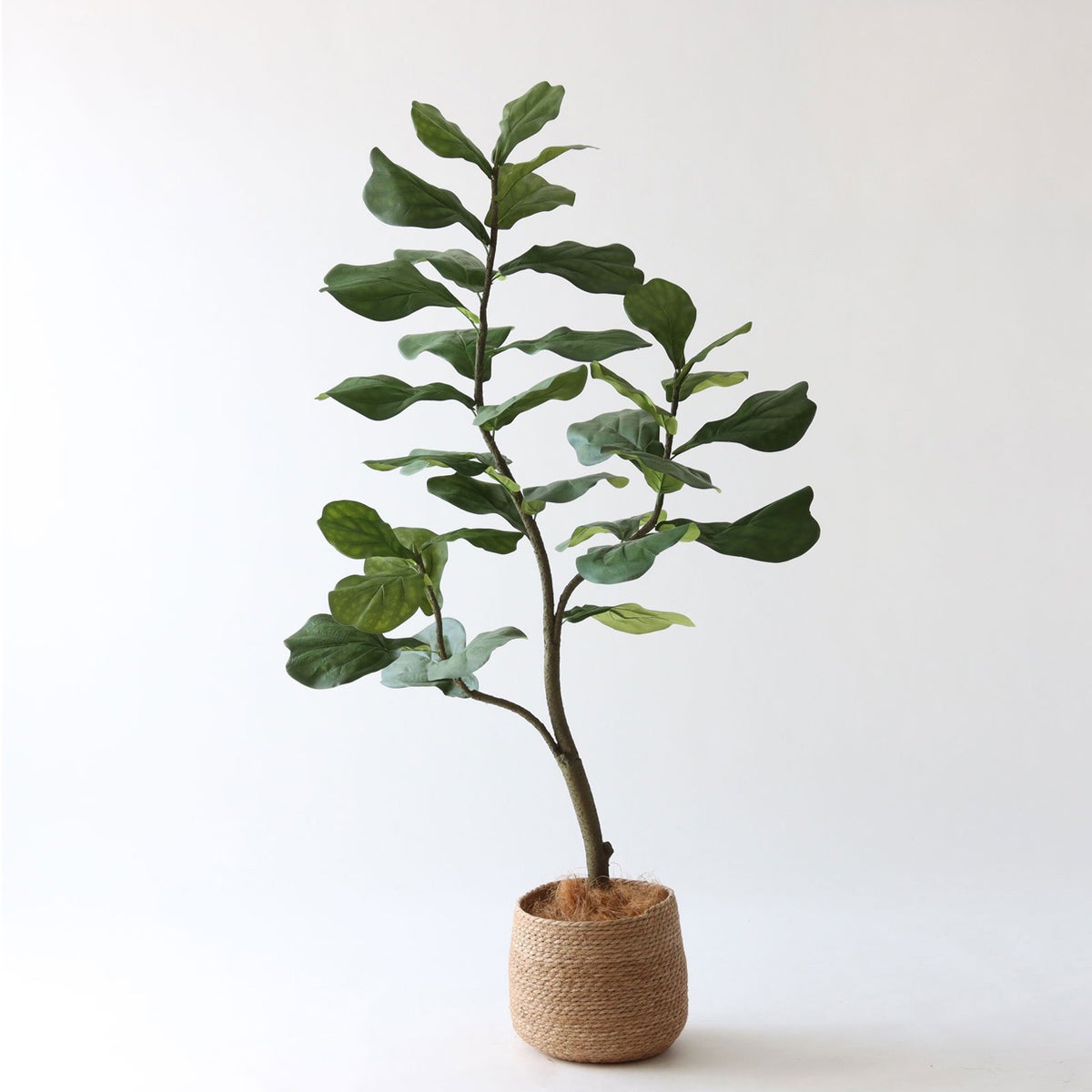 ③ シーグラス 小（SK7）｜標準セット