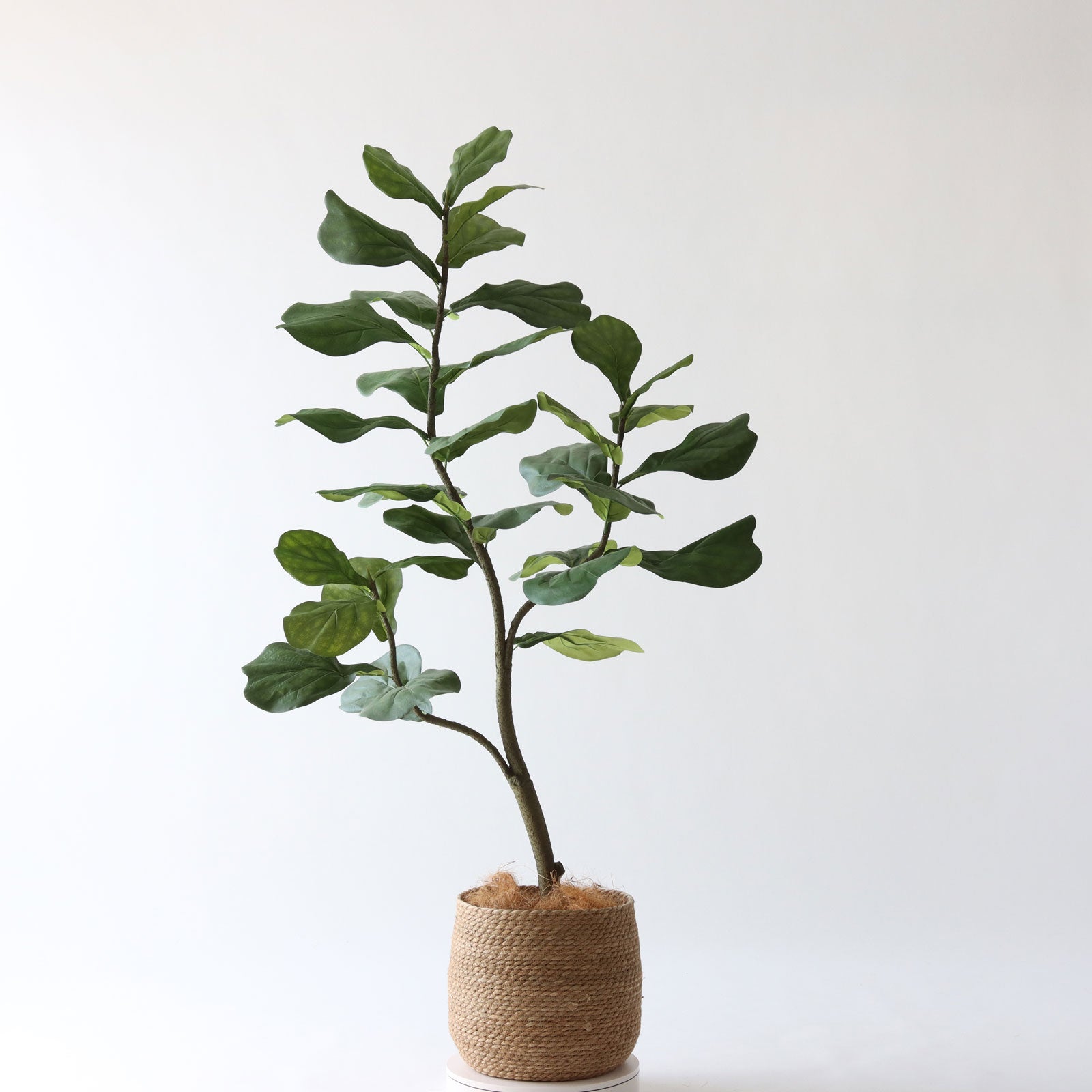 360度回転イメージ