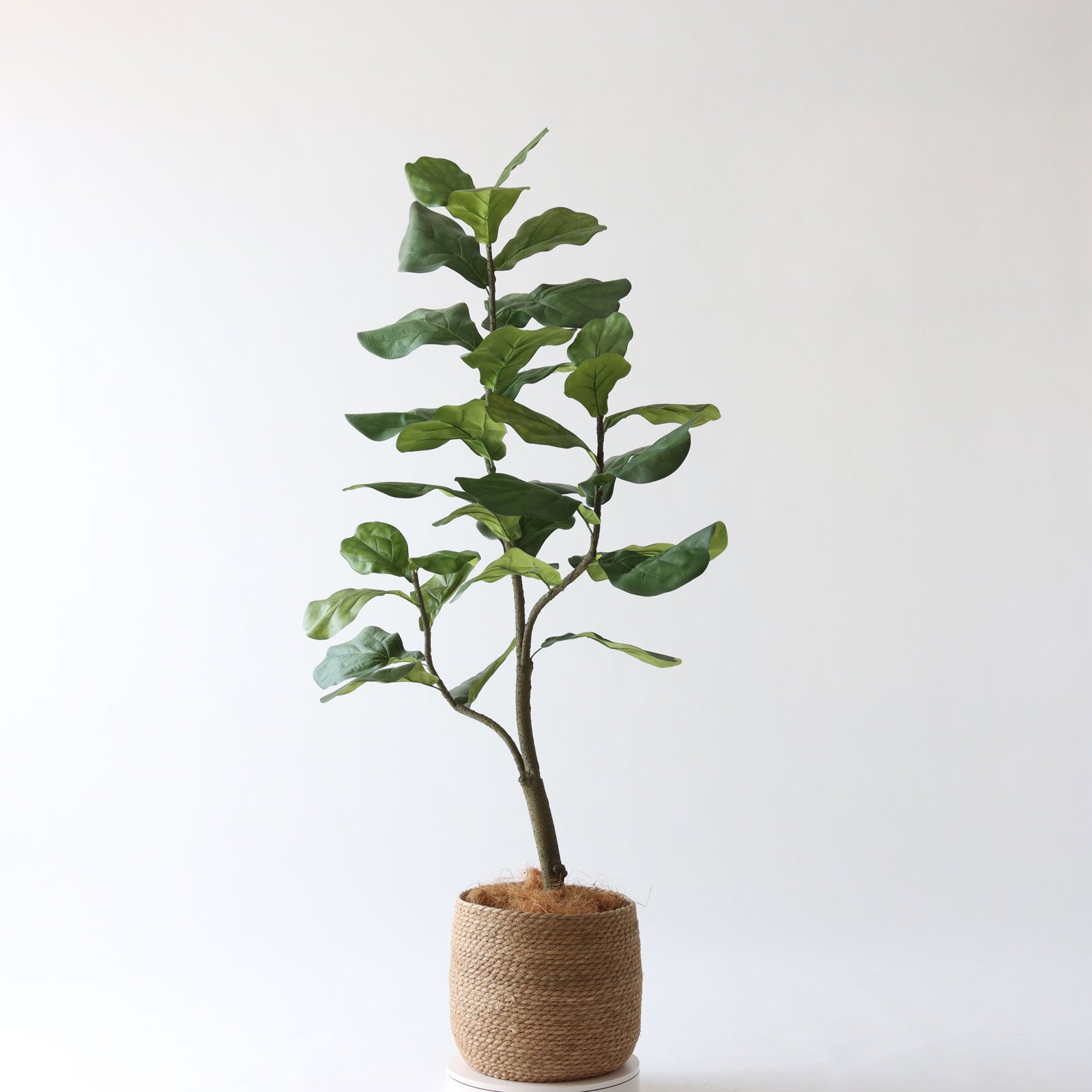 斜めに曲げた幹のデザイン例