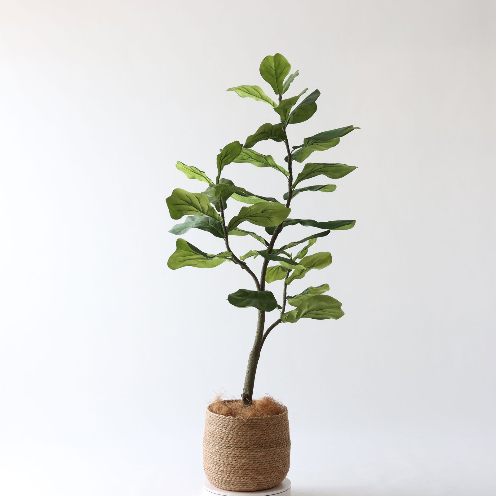 幹を外側に曲げたデザイン例